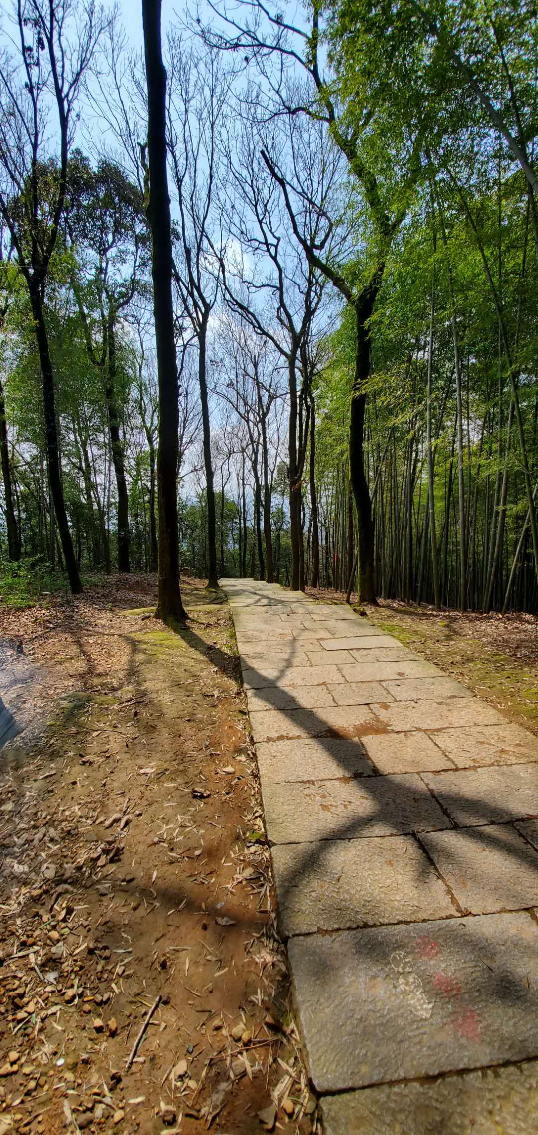 hiking to Five Clouds Temple (五云寺）in Hangzhou