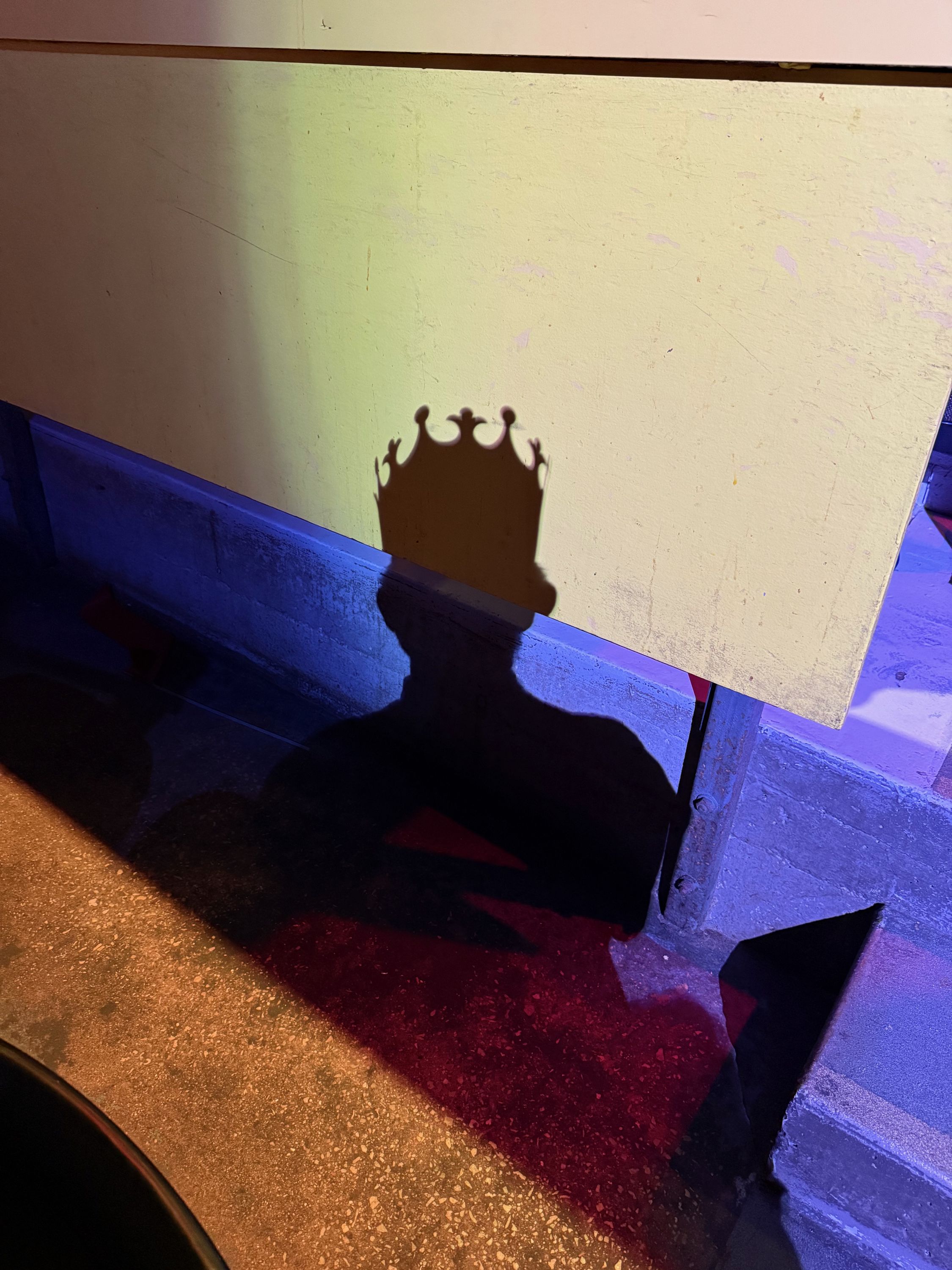 TheShadowKing