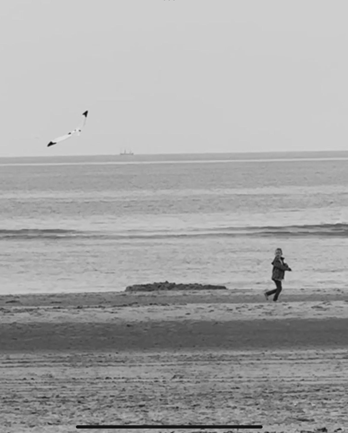 zandvoort beach 2024