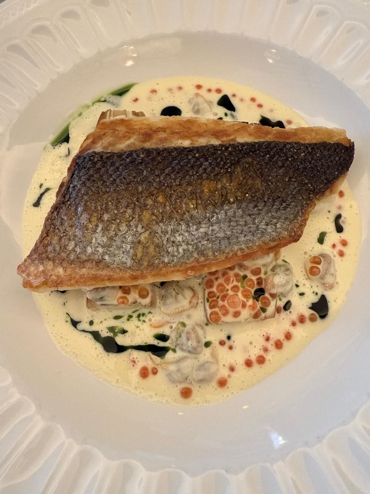 Grilled sea bass in a clam sauce