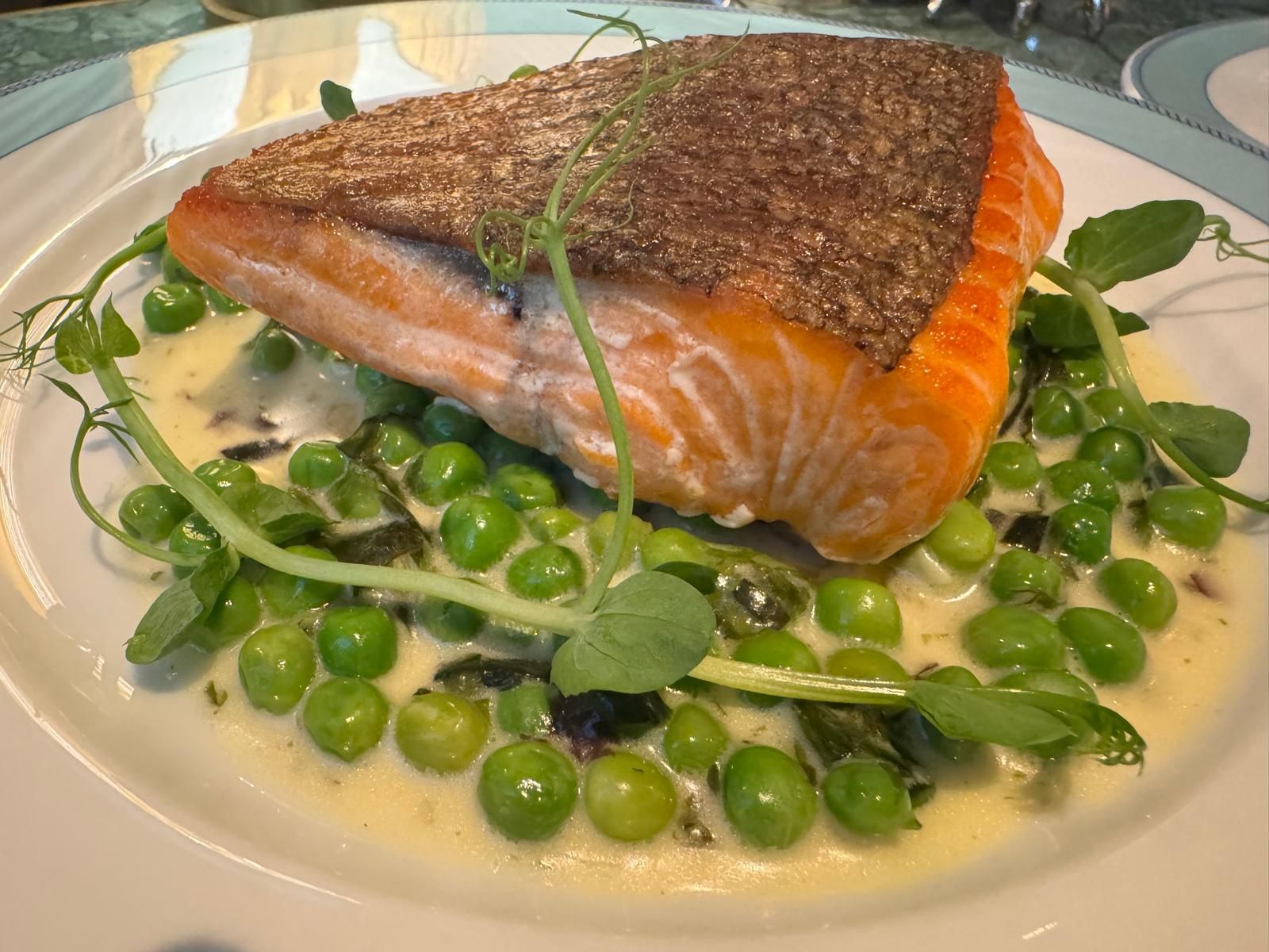 Grilled fillet of sea trout