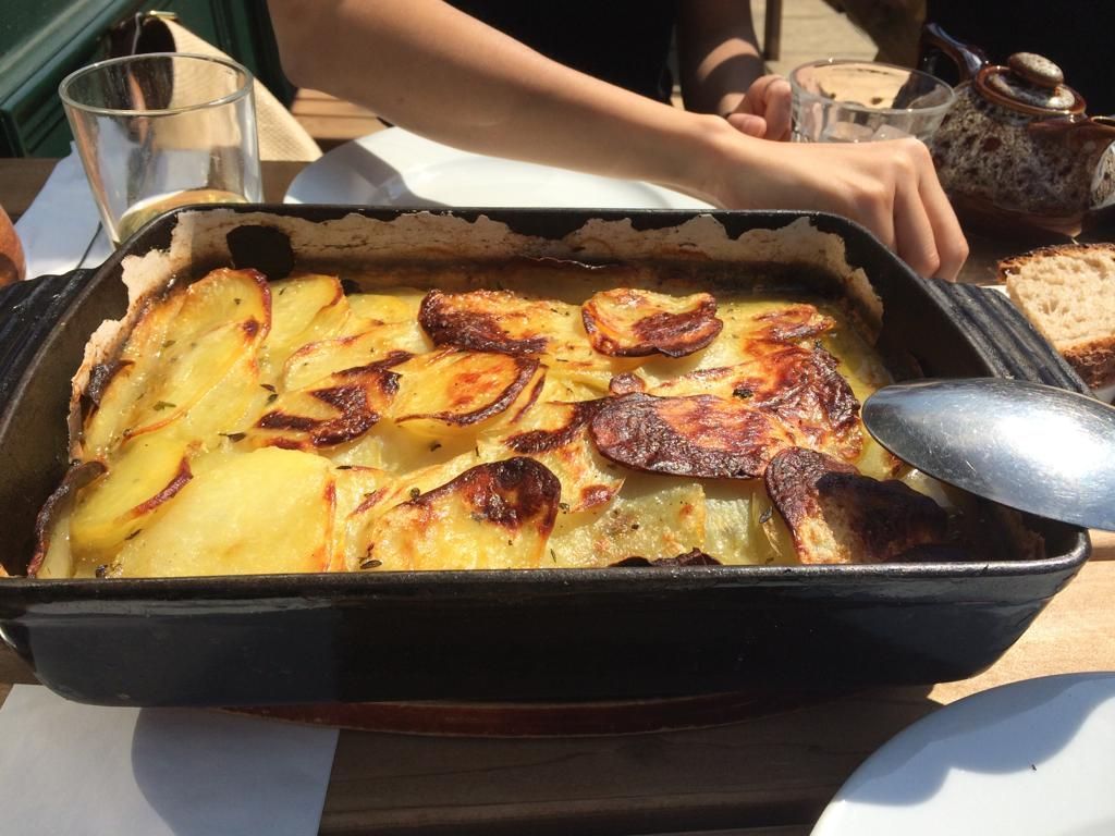 Potato Gratin