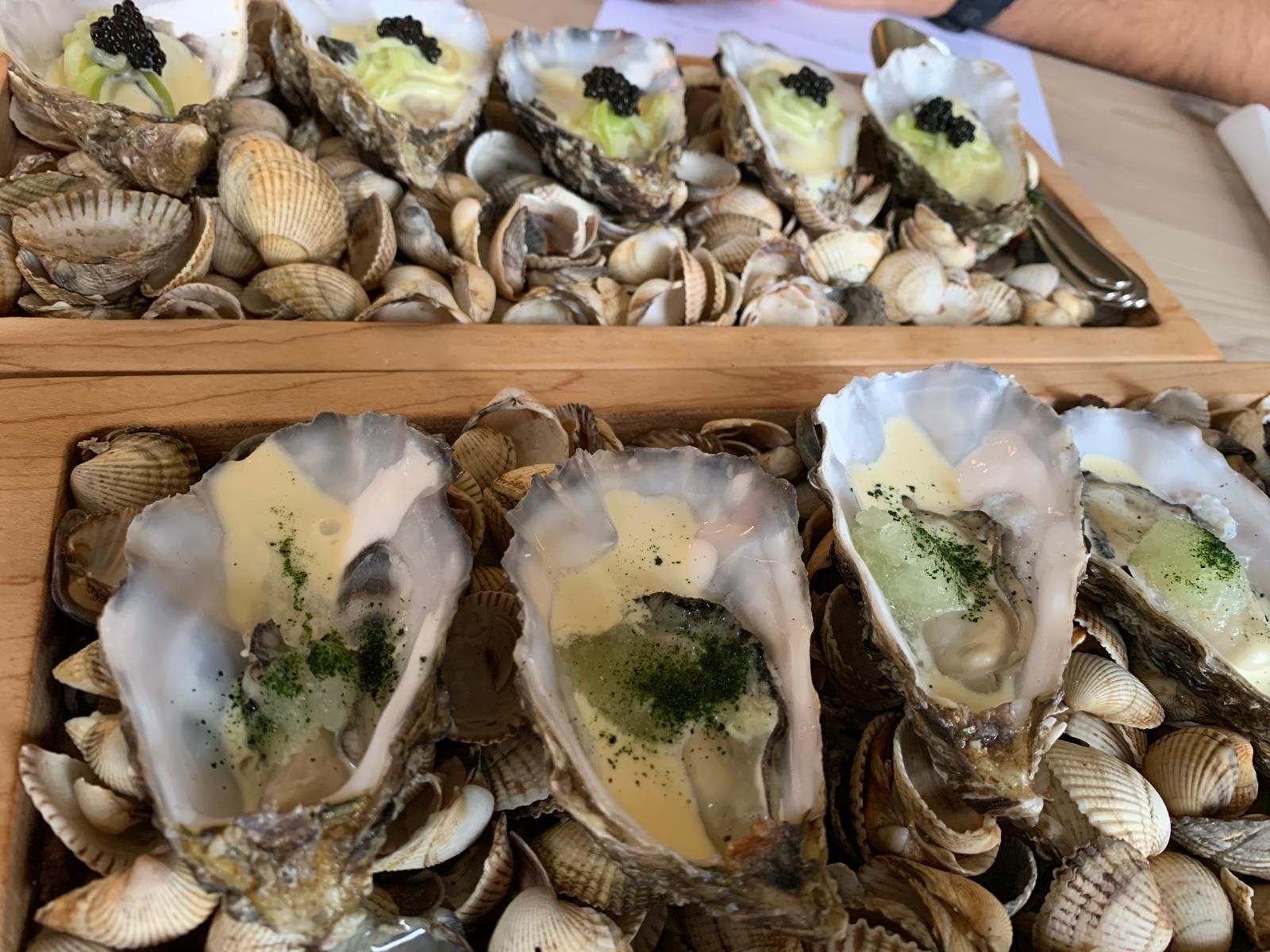 Oysters!