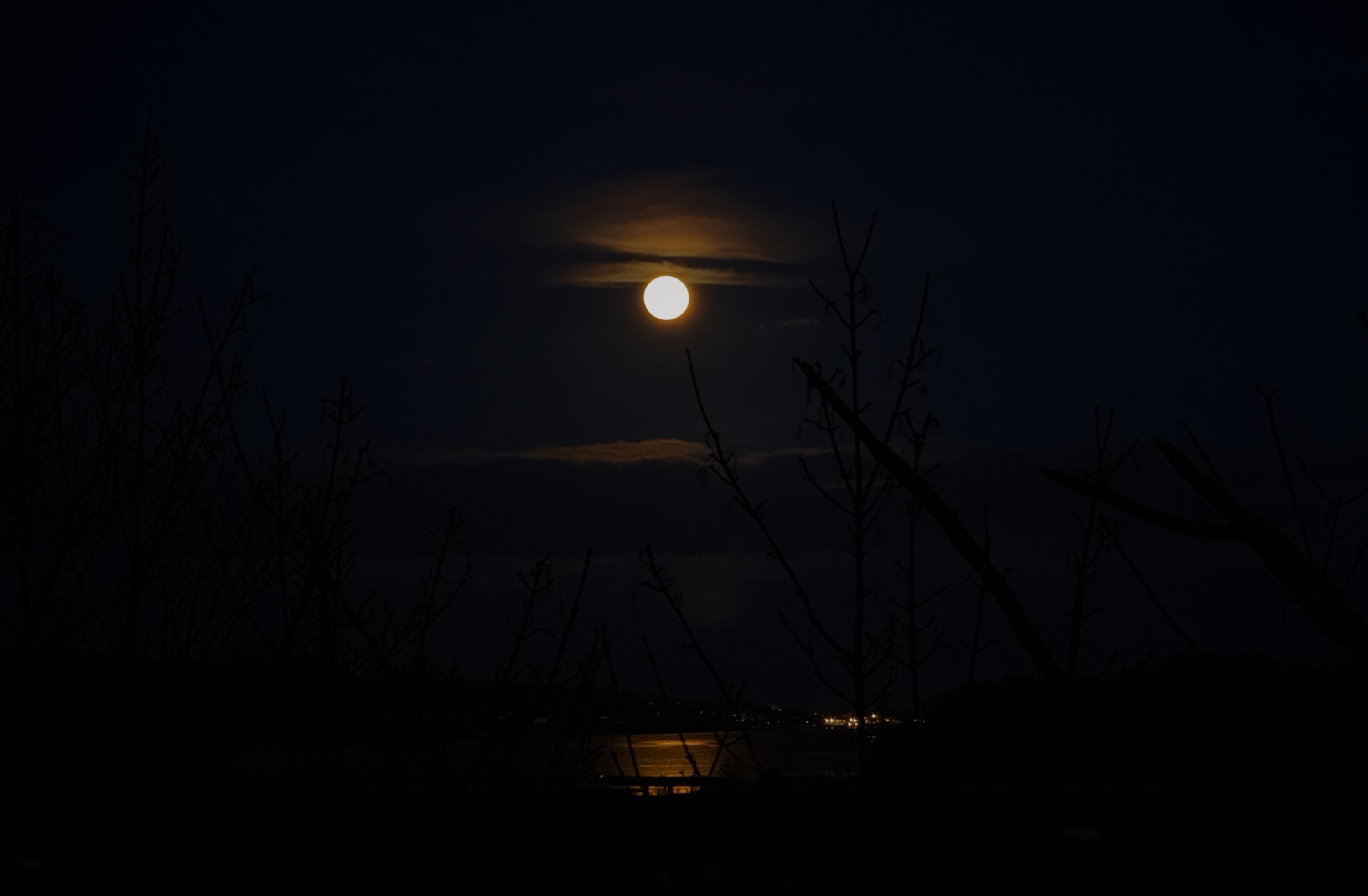 Moonlight on the Teign Estuary