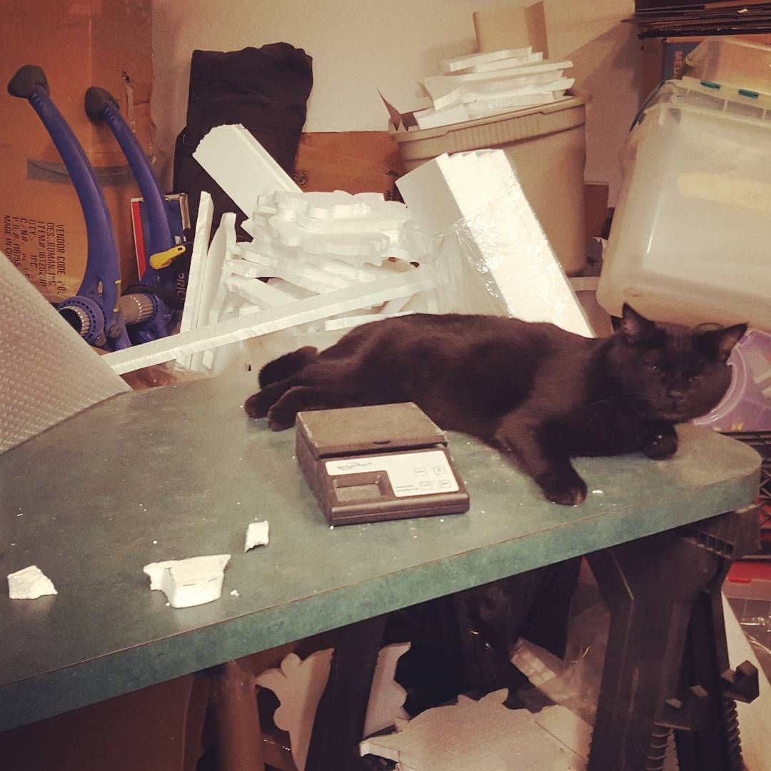 Ninja, my shopcat is holding down the shipping station today. caturday
