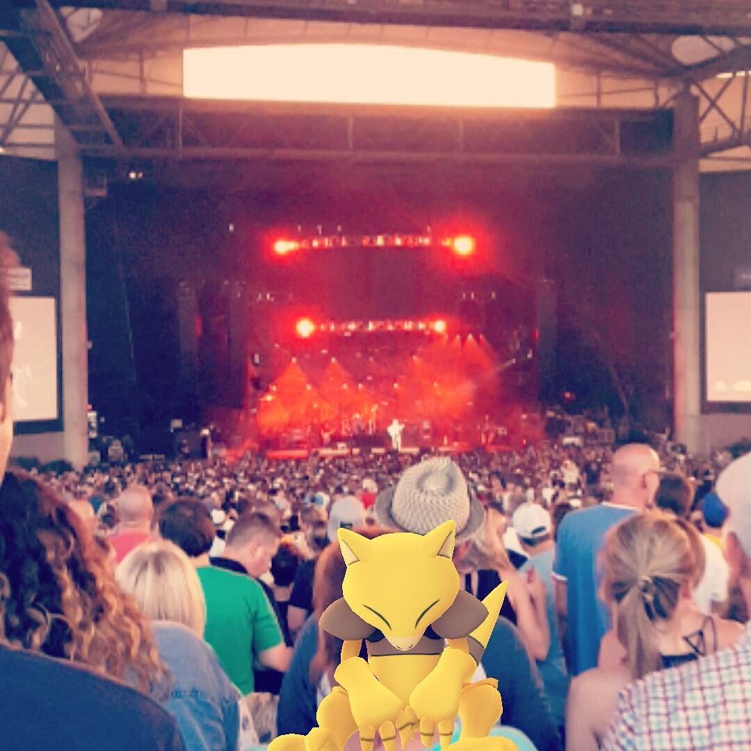 Last night I kept trying to catch a wild davematthewsband but had to settle for this little guy. Great concert! pokemongo