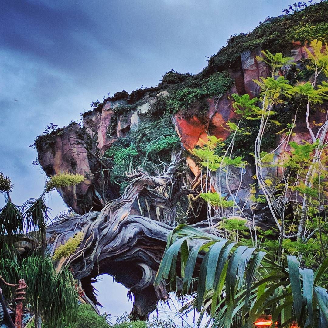 Hanging out on Pandora today, the Avatar VR ride was wicked awesome! disneyworld avatar
