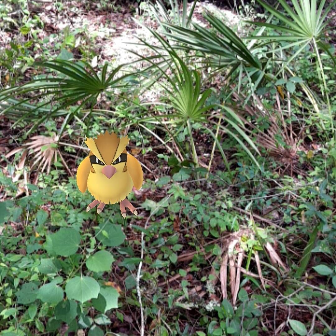 We’ll I started it too pokemongo