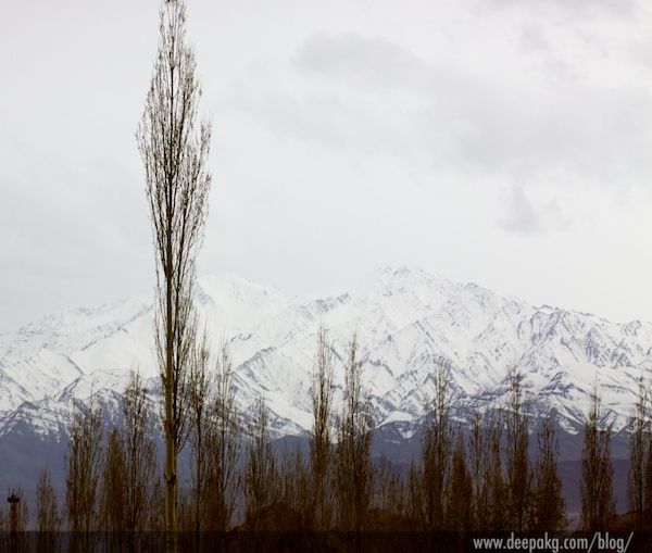 Ladakh in April - Day 1 6