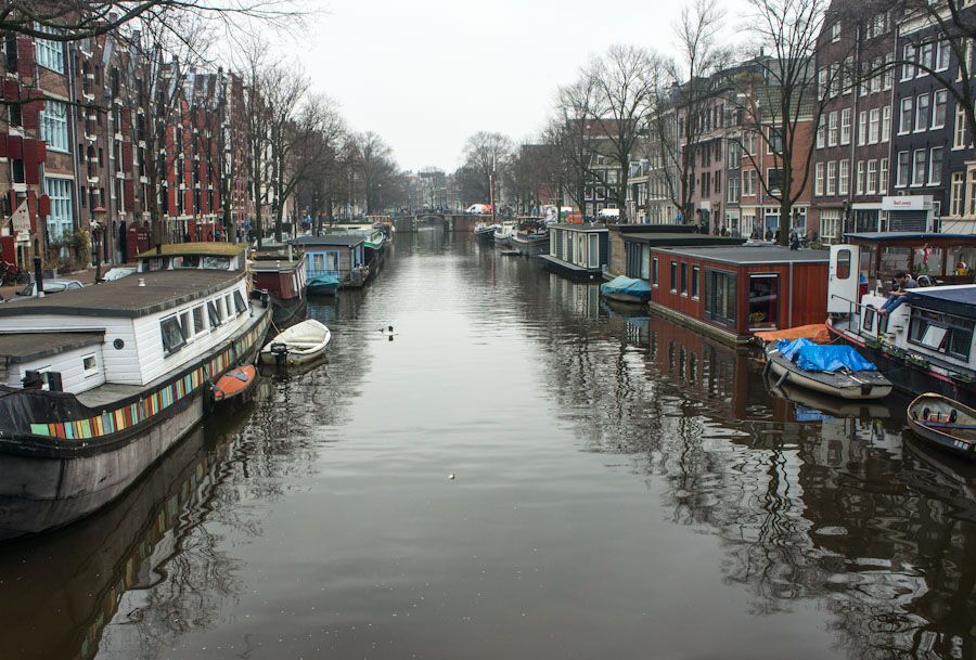 Amsterdam: bare trees