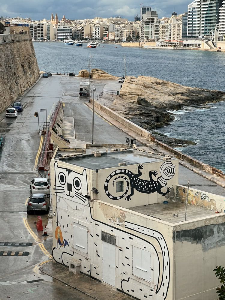 A mural of a cat on a building overlooking St. Elmo’s Bay