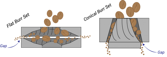 Understanding Flat vs Conical Burr Grinders - Café Fabrique