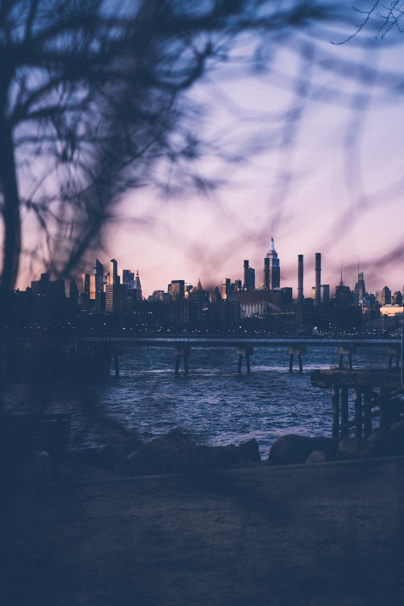 A view of the upper Manhattan skyline peeks through thin tree branches at sunset, divided by piers on the East River.