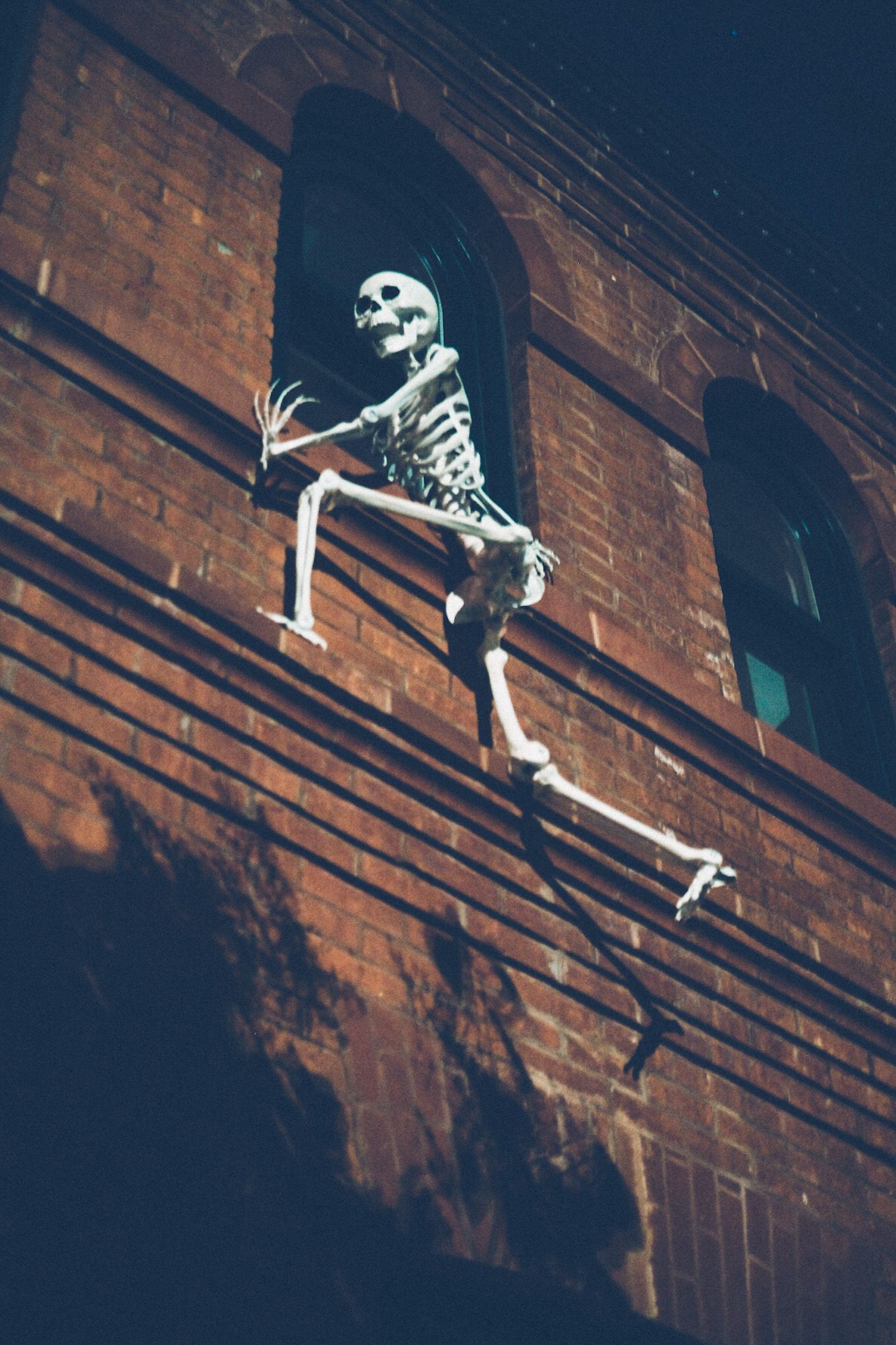 A plastic skeleton hangs from the arched window of a brick building at night, appearing to laugh.