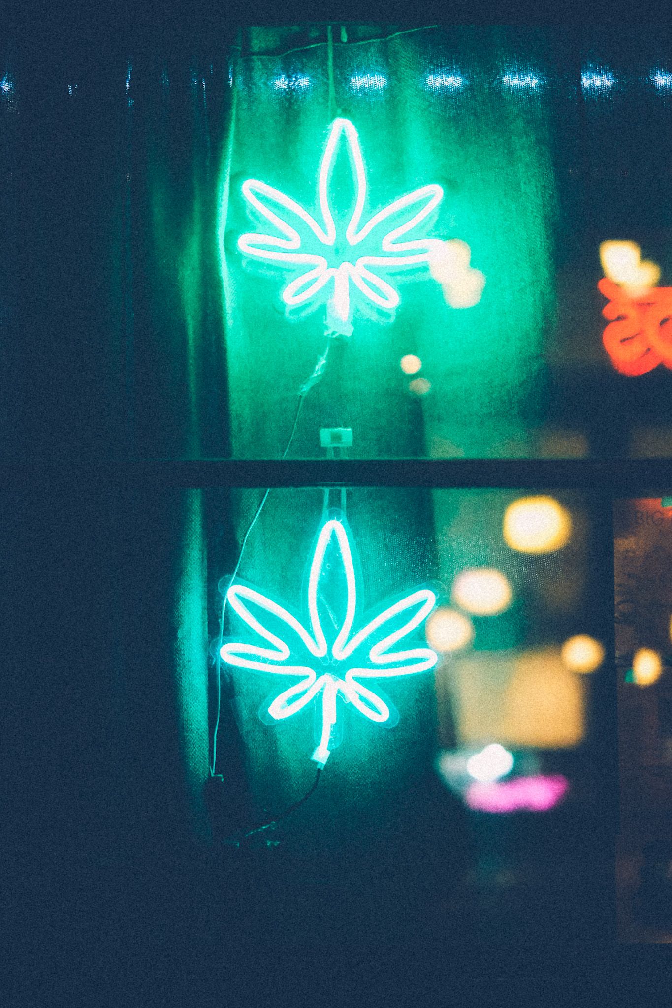 Two green neon marijuana leaves glow from a window at night.