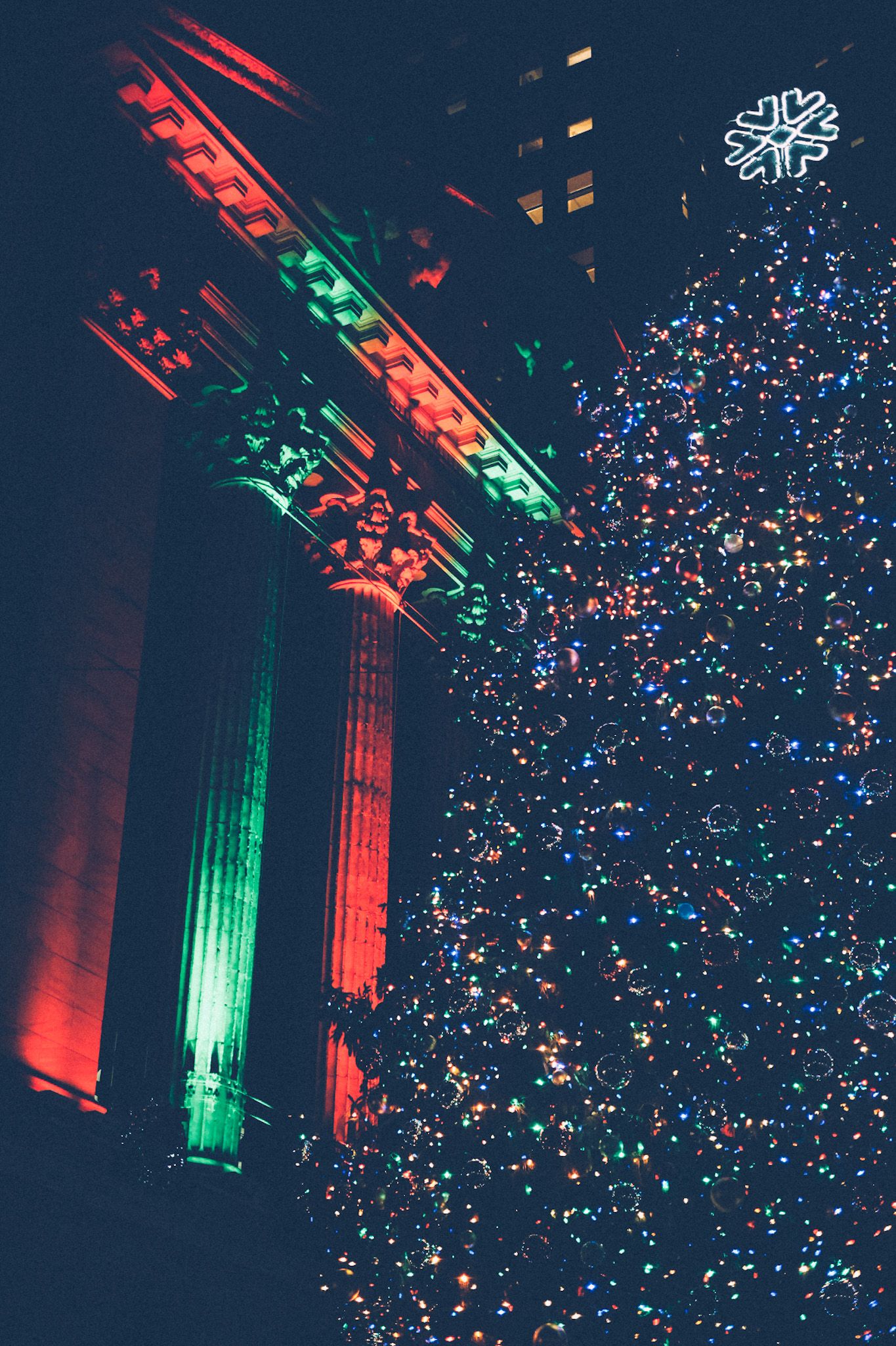 At night, a giant lit Christmas tree with a star on top of it stands in front of a building with Roman pillars, lit in green and red.