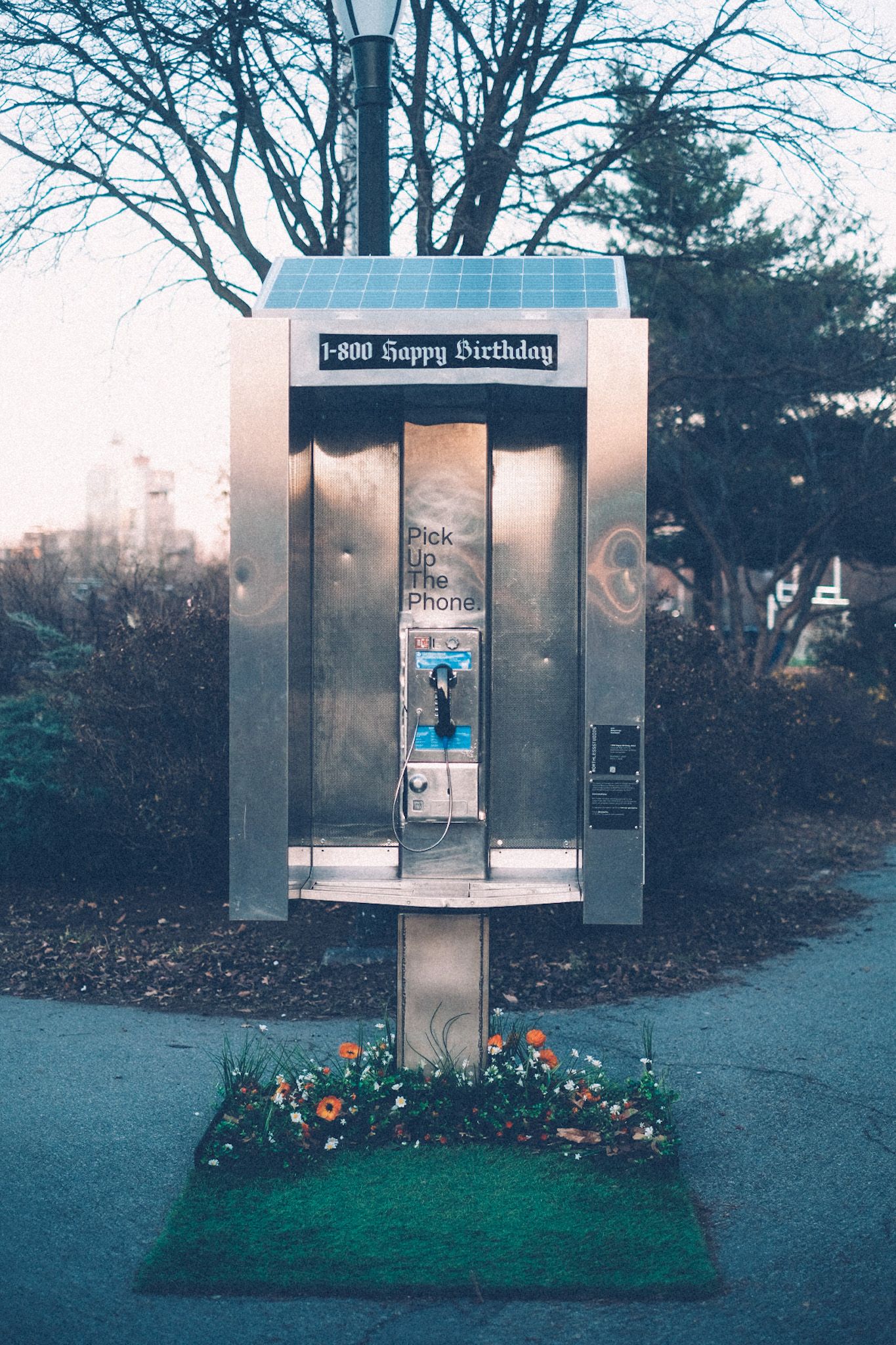 A phone booth sits in the center of a park path, as a public art installation.