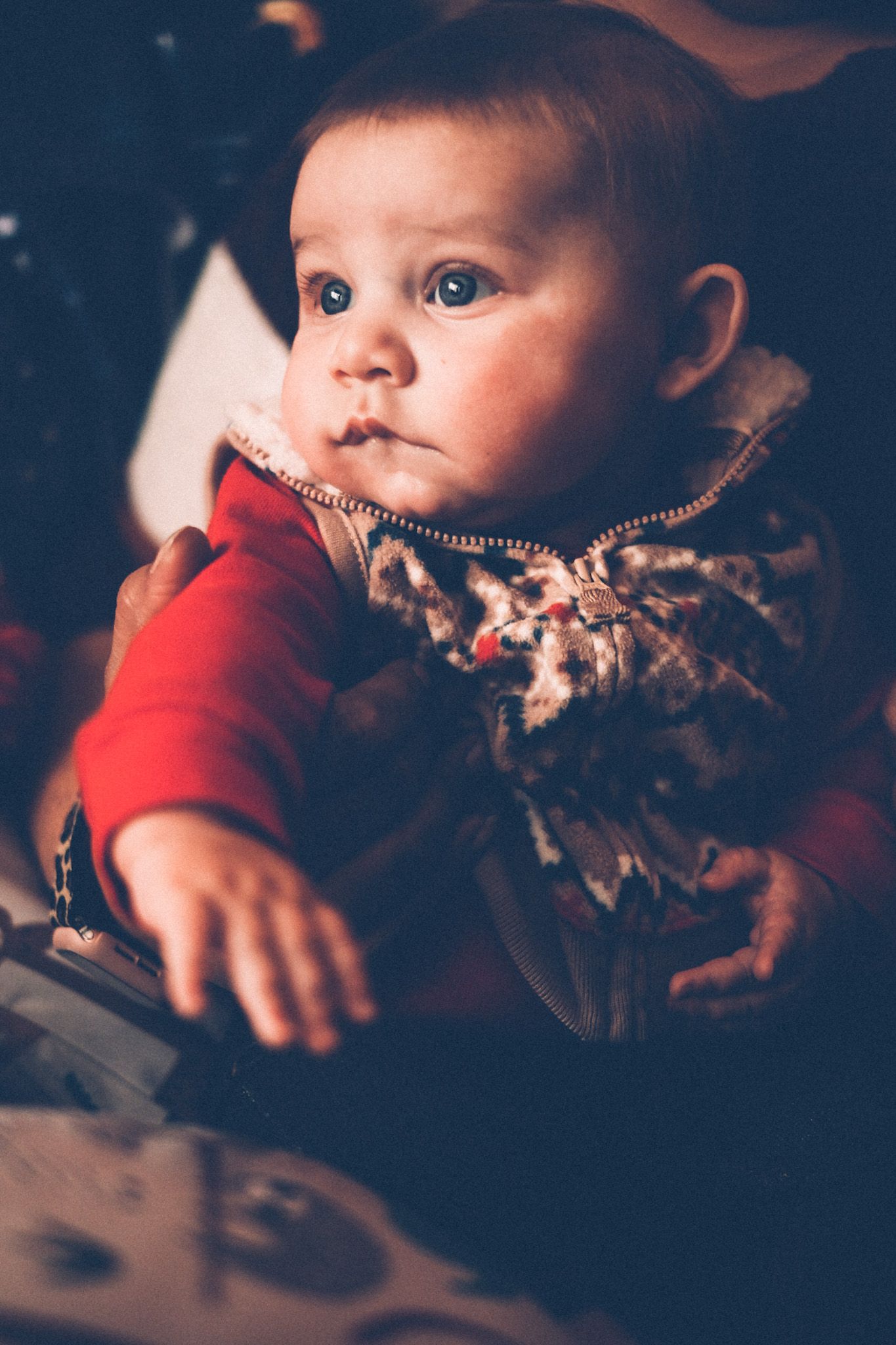 A baby boy in a festive red shirt looks off to the side, face lit in natural light.