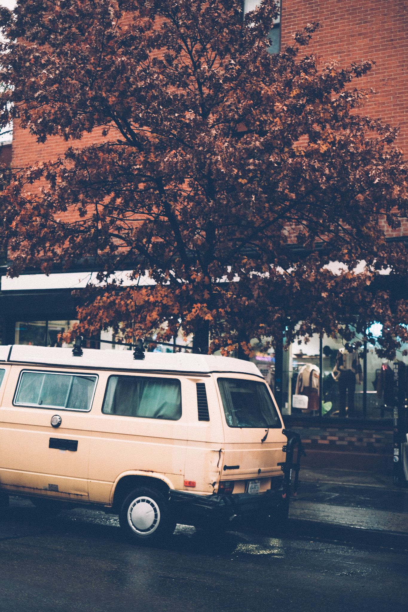 An off-white van is parked in front of a brick building and a tree with red-brown leaves, street wet from a recent rain.
