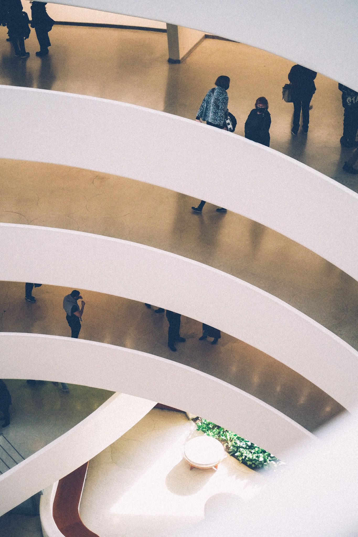 The camera looks out over five floors of the Guggenheim Museum, painted white and sloping downward, circular, an ever-open balcony.