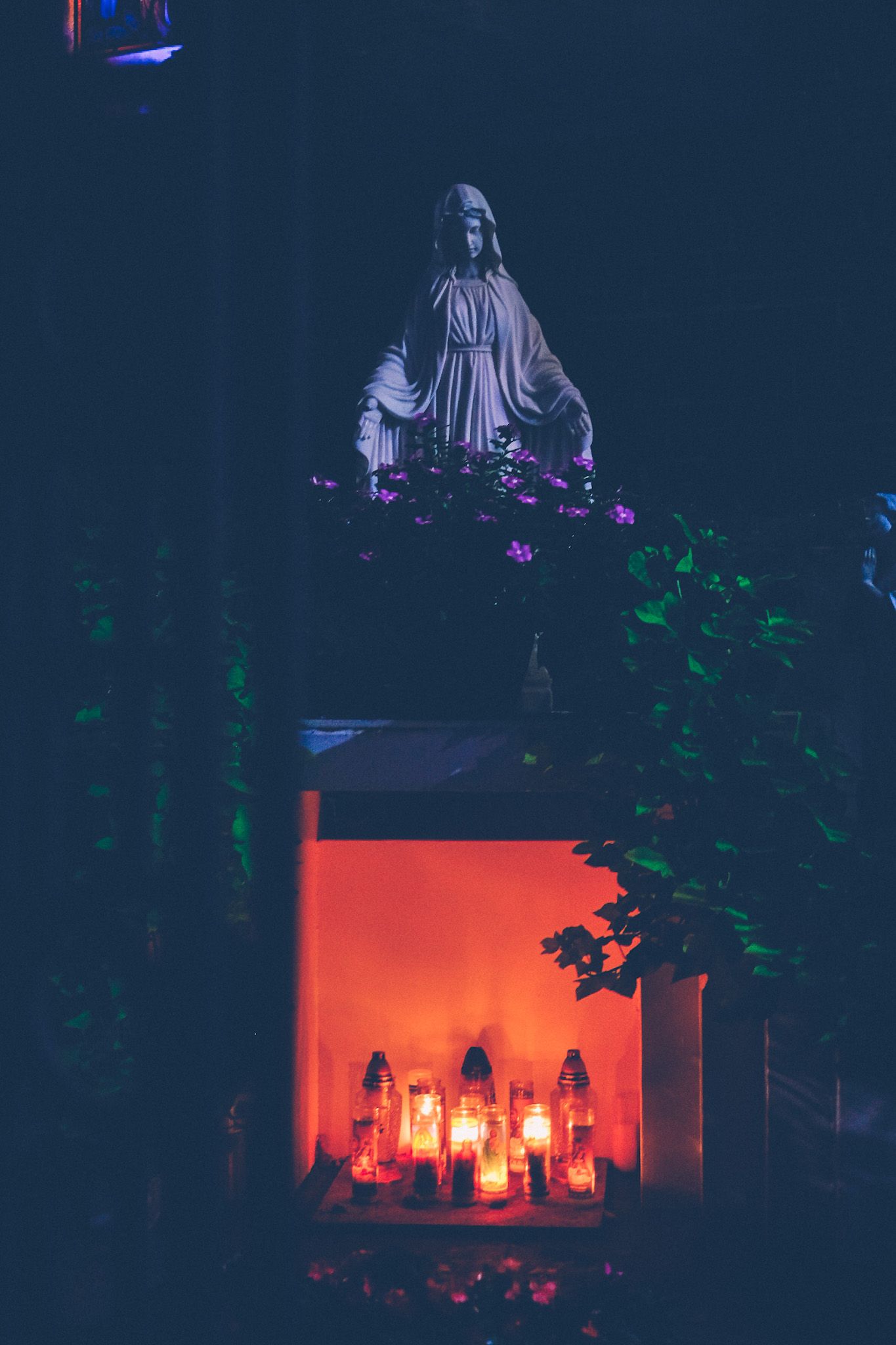At night, a statue of Mary stands in purple light, surrounded by dark green foliage, standing on top of an altar glowing vibrantly orange, filled with candles.