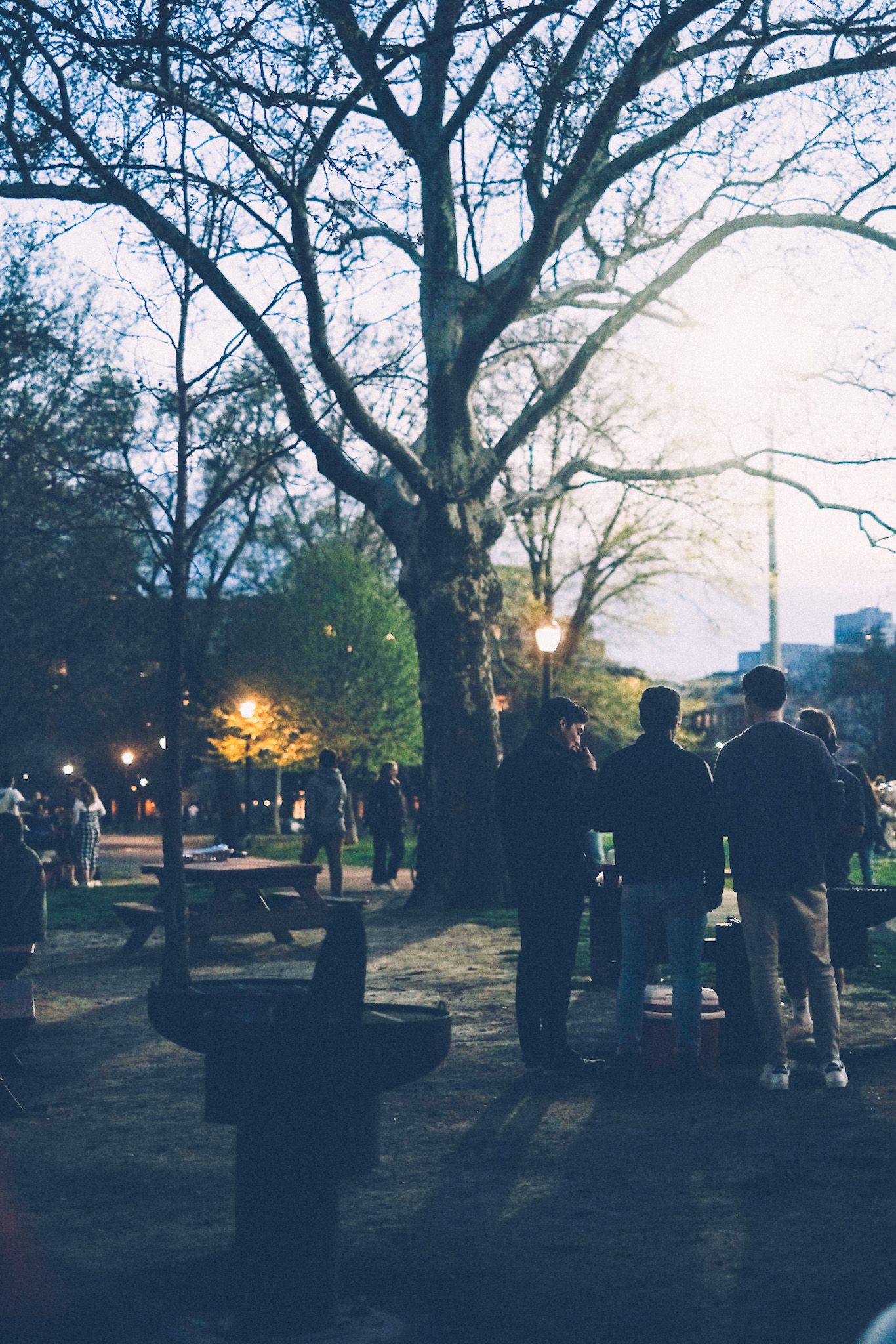 A group of people stand around barbecue grills at a park as the sun sets, light still showing through trees.