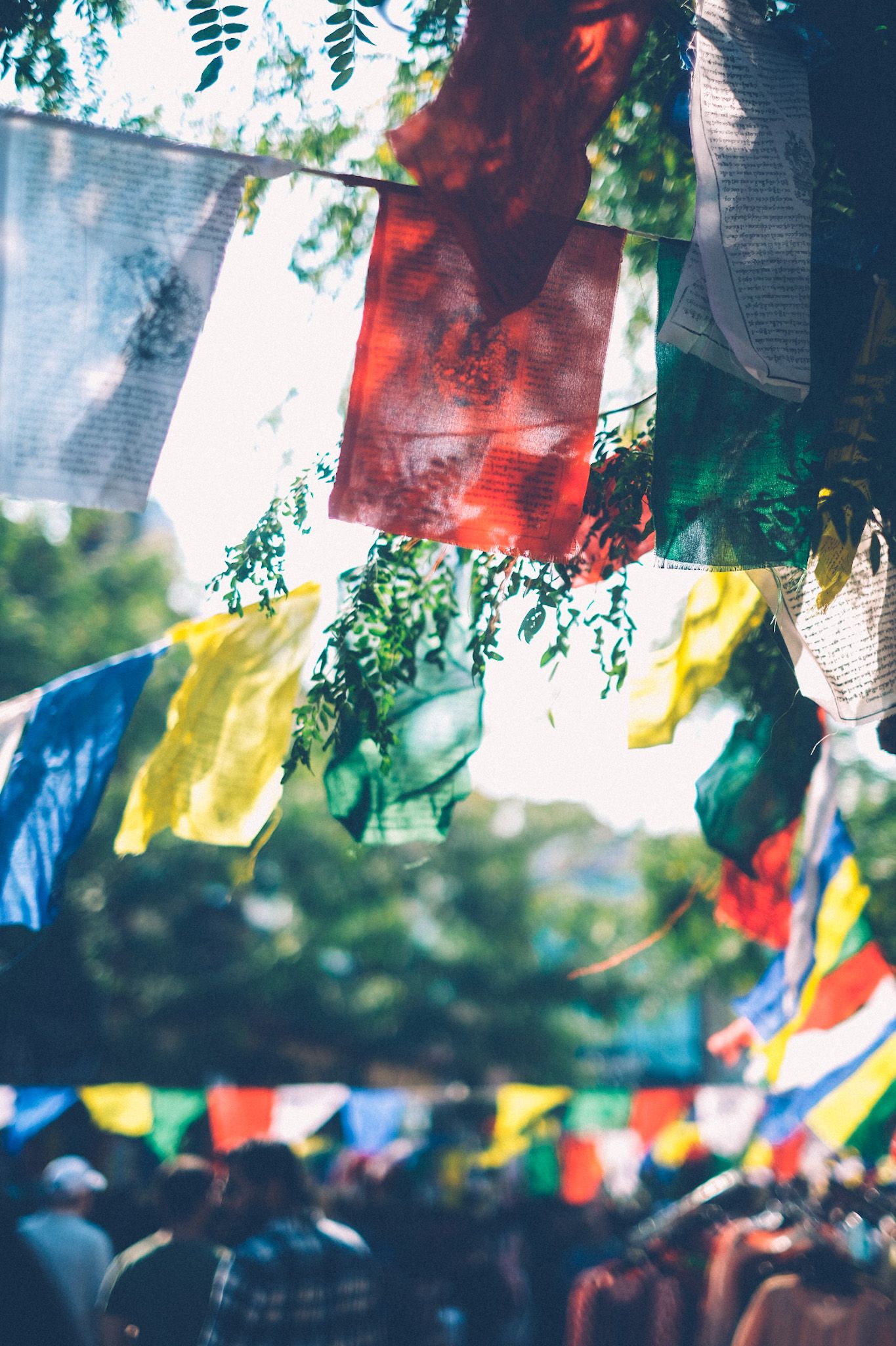 Tibetan flags are strung across the street for a momo festival.