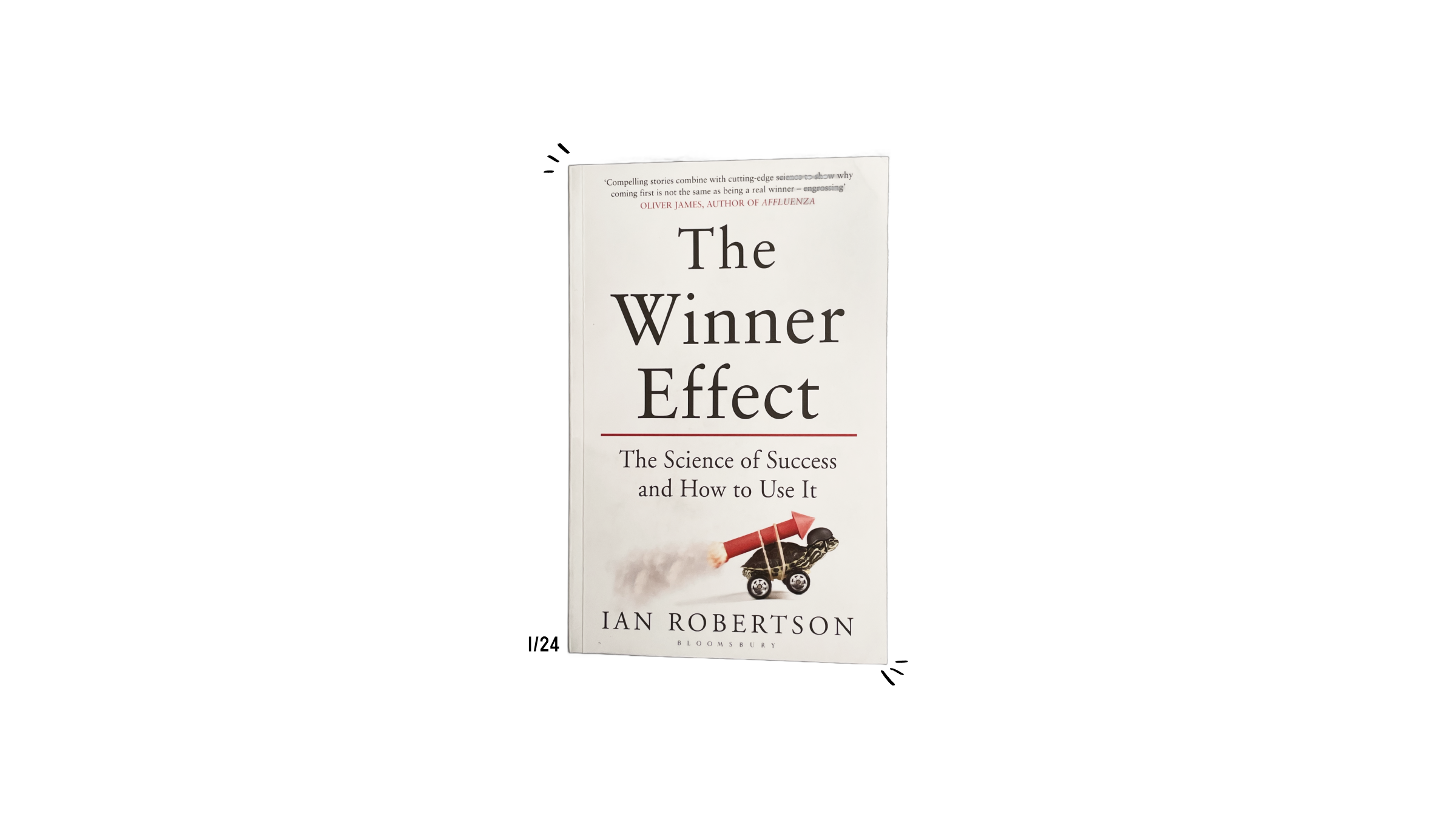 Transposed image of The Winner Effect by Ian H. Robertson