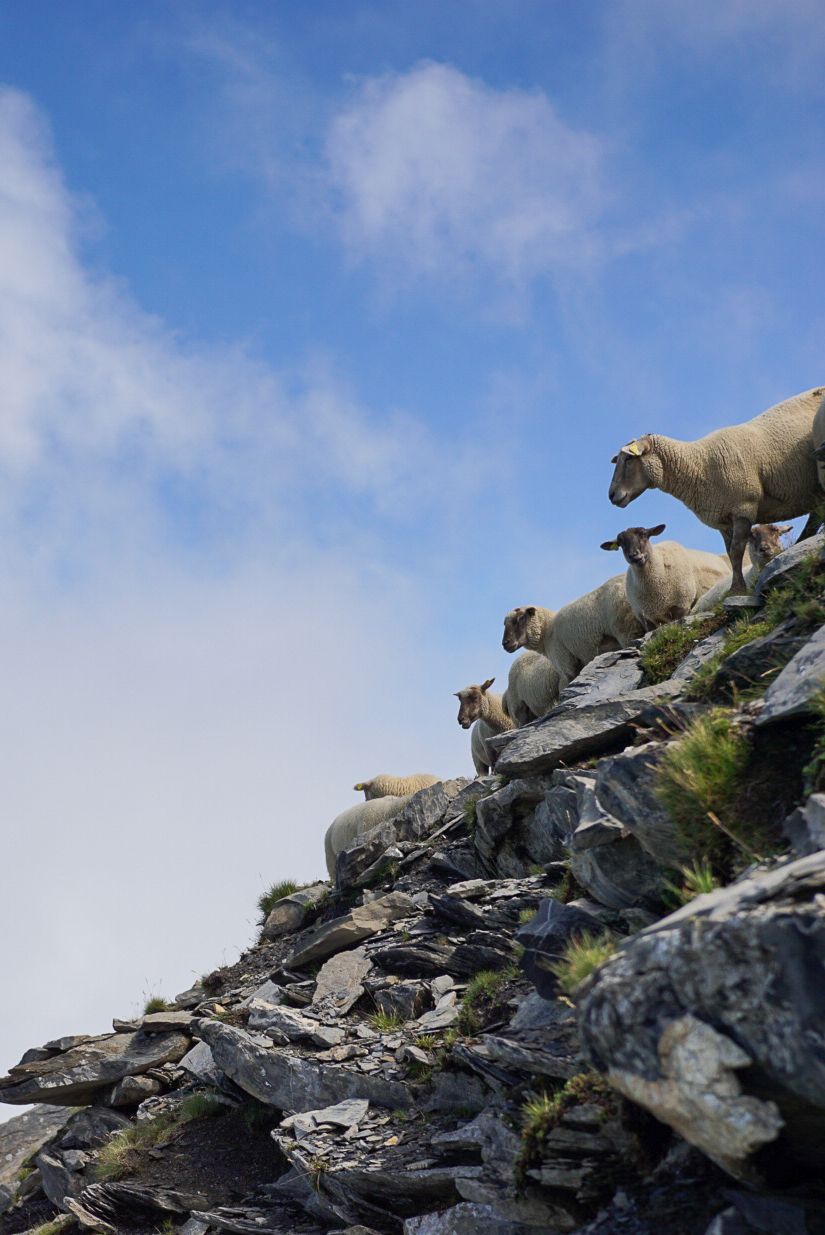 nimble-climbers
