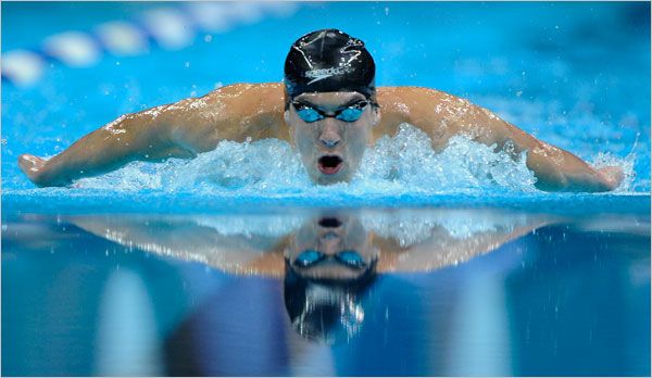 Phelps Butterfly