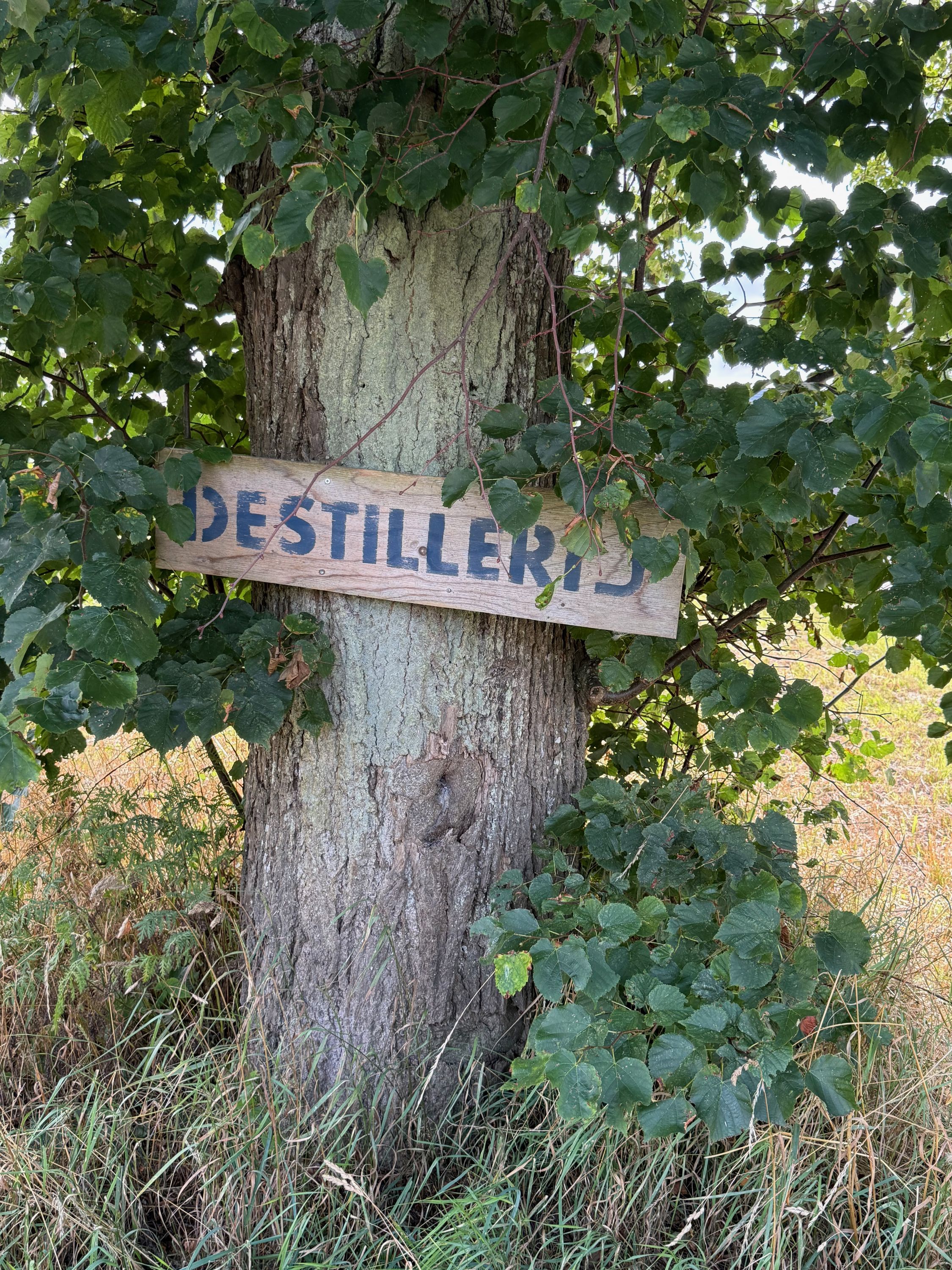 Thornæs destilleri i Kagerup