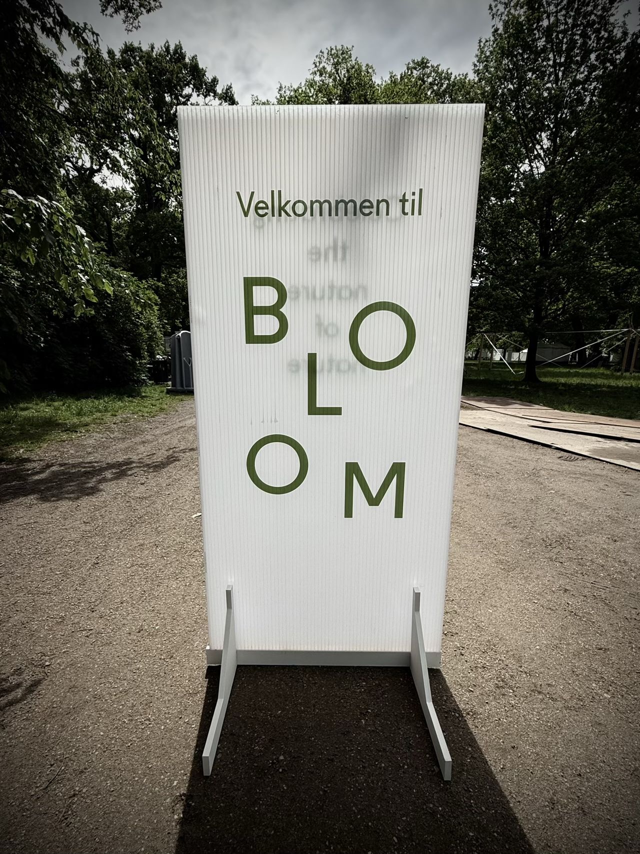 Bloom 2025 - med lidt sol trods alt
