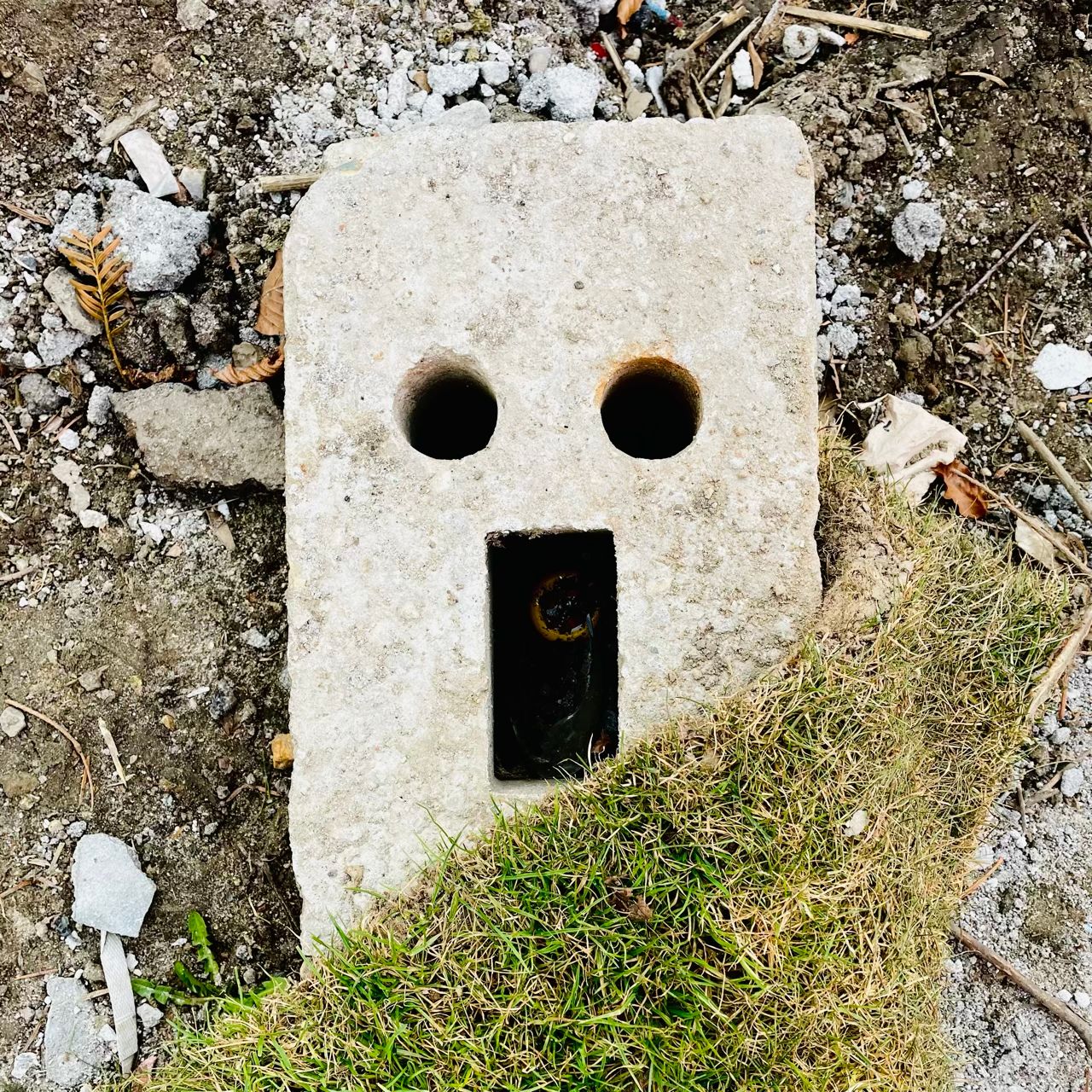 i see faces under grass cover
