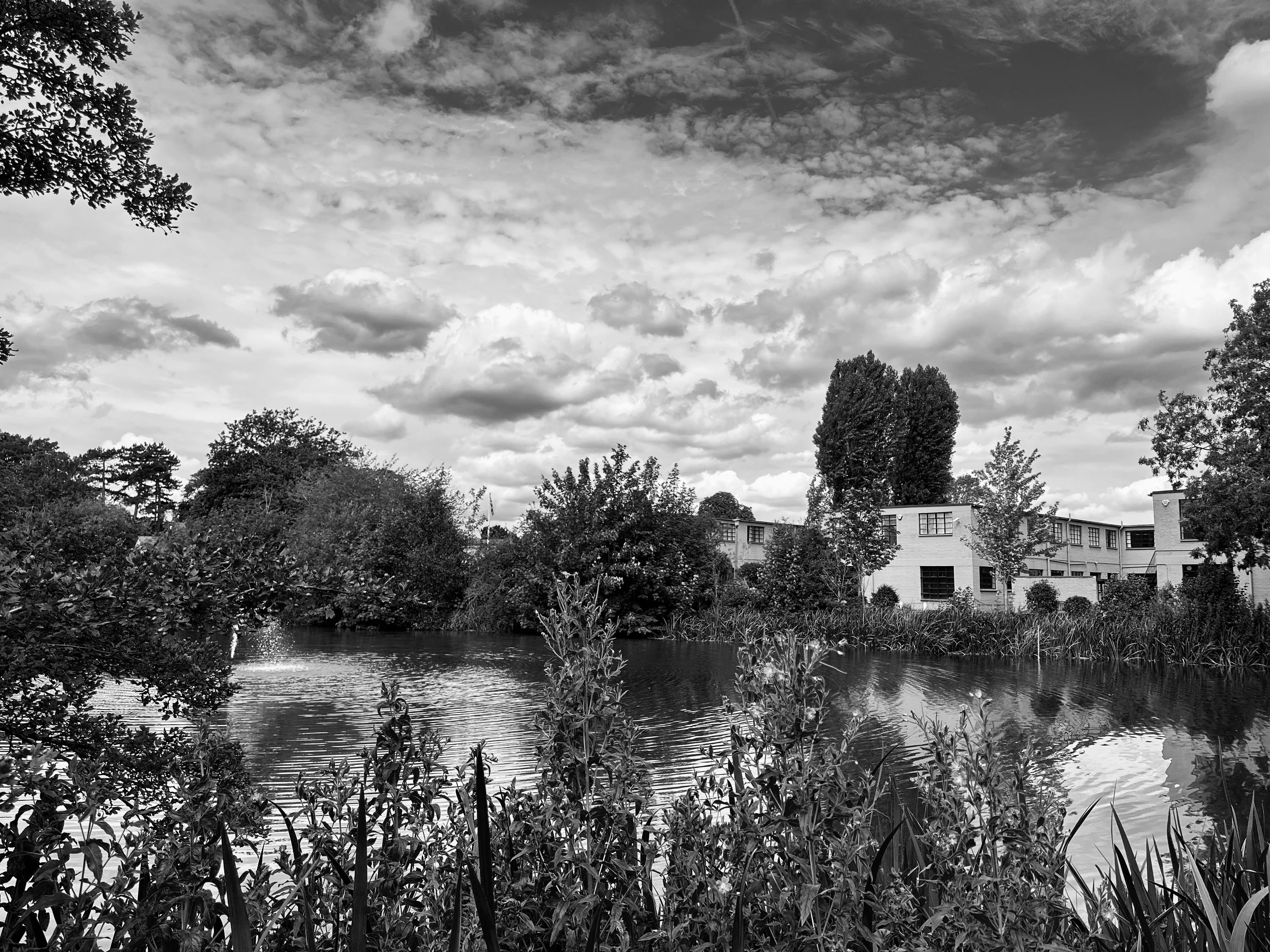 Den lille dam i Bletchley