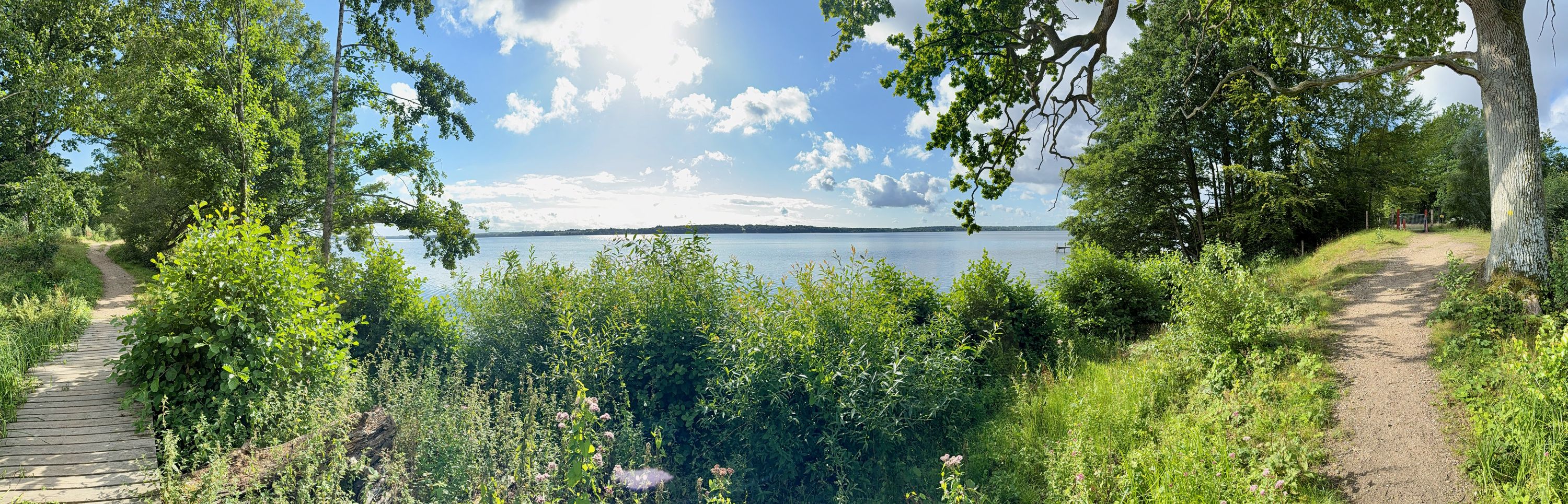 Søkig