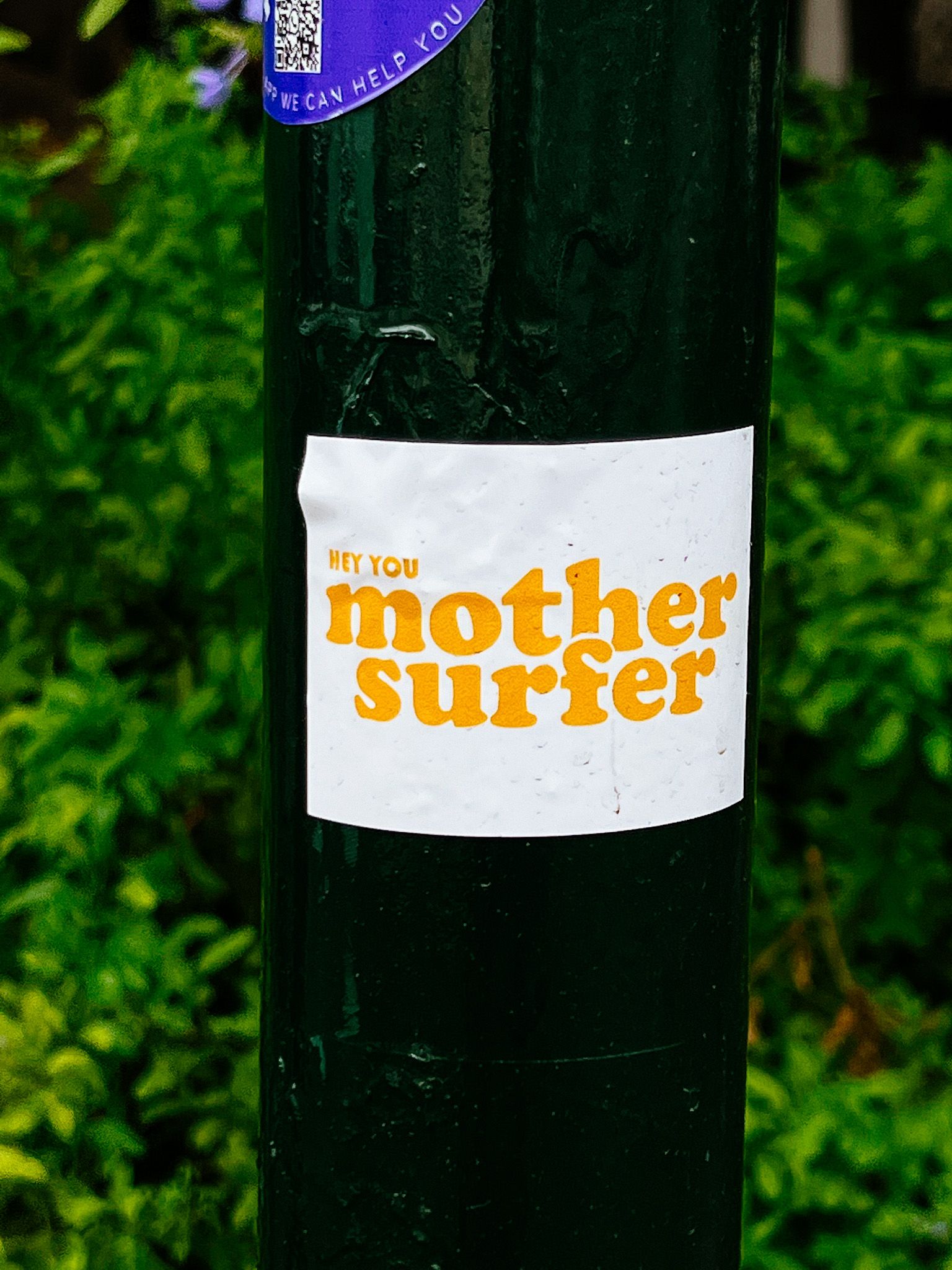 mothersurfer