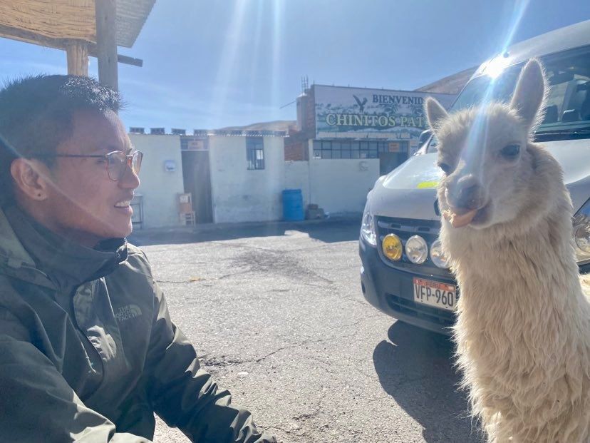 Sharing my breakfast sandwhich with an Alpaca