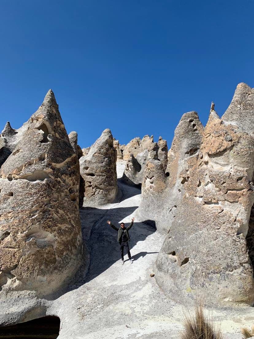 Stone Forest