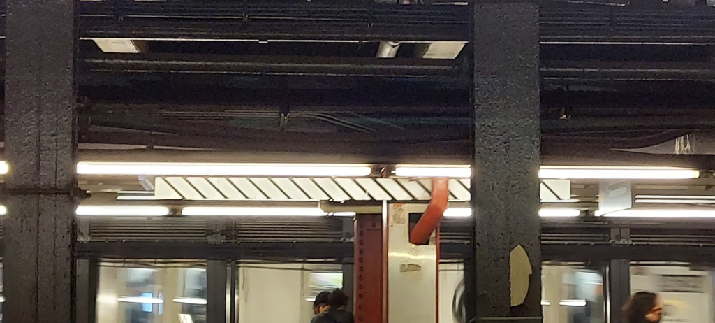 NYC Zebra board at a subway station