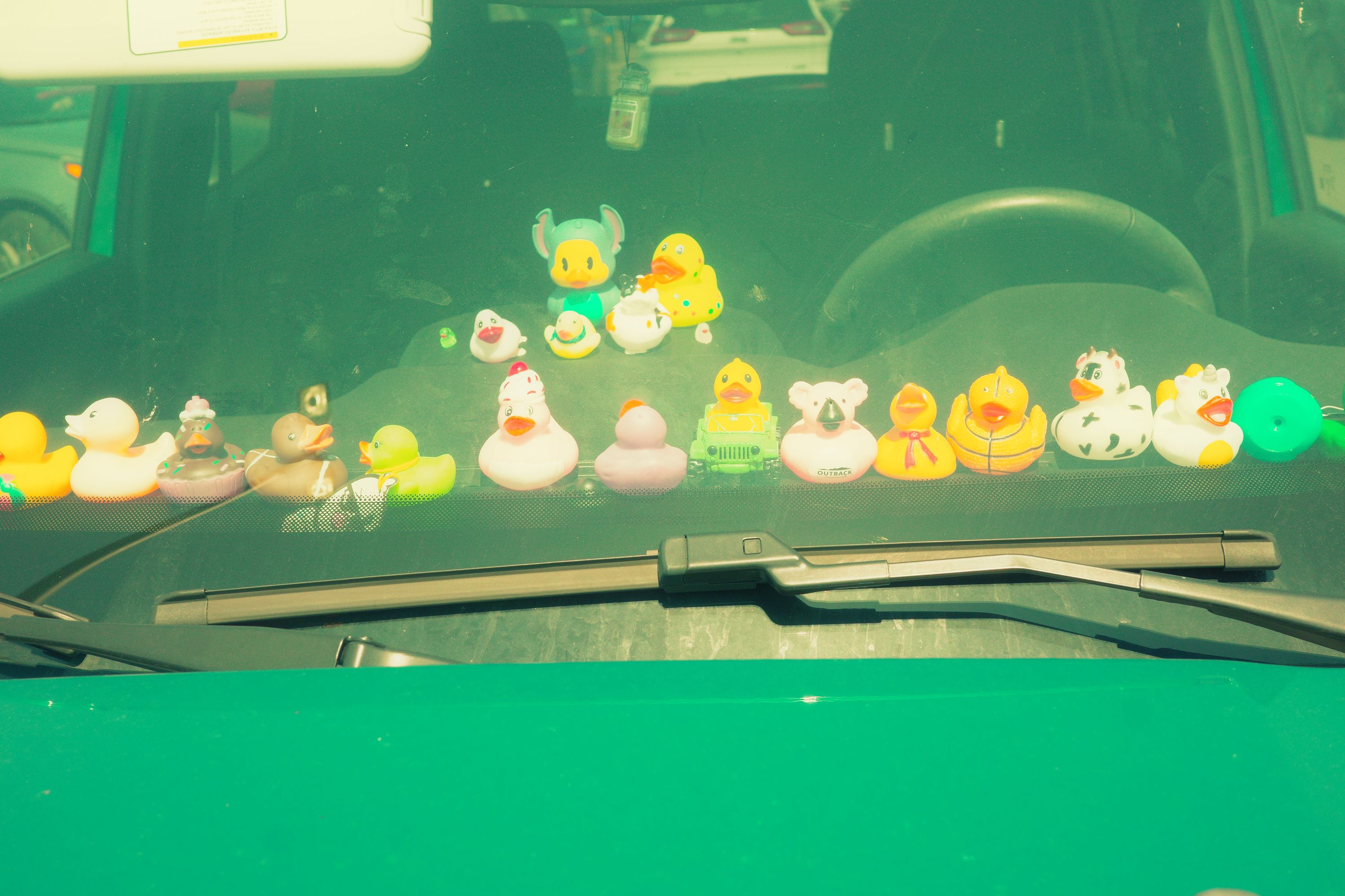 jeep ducks