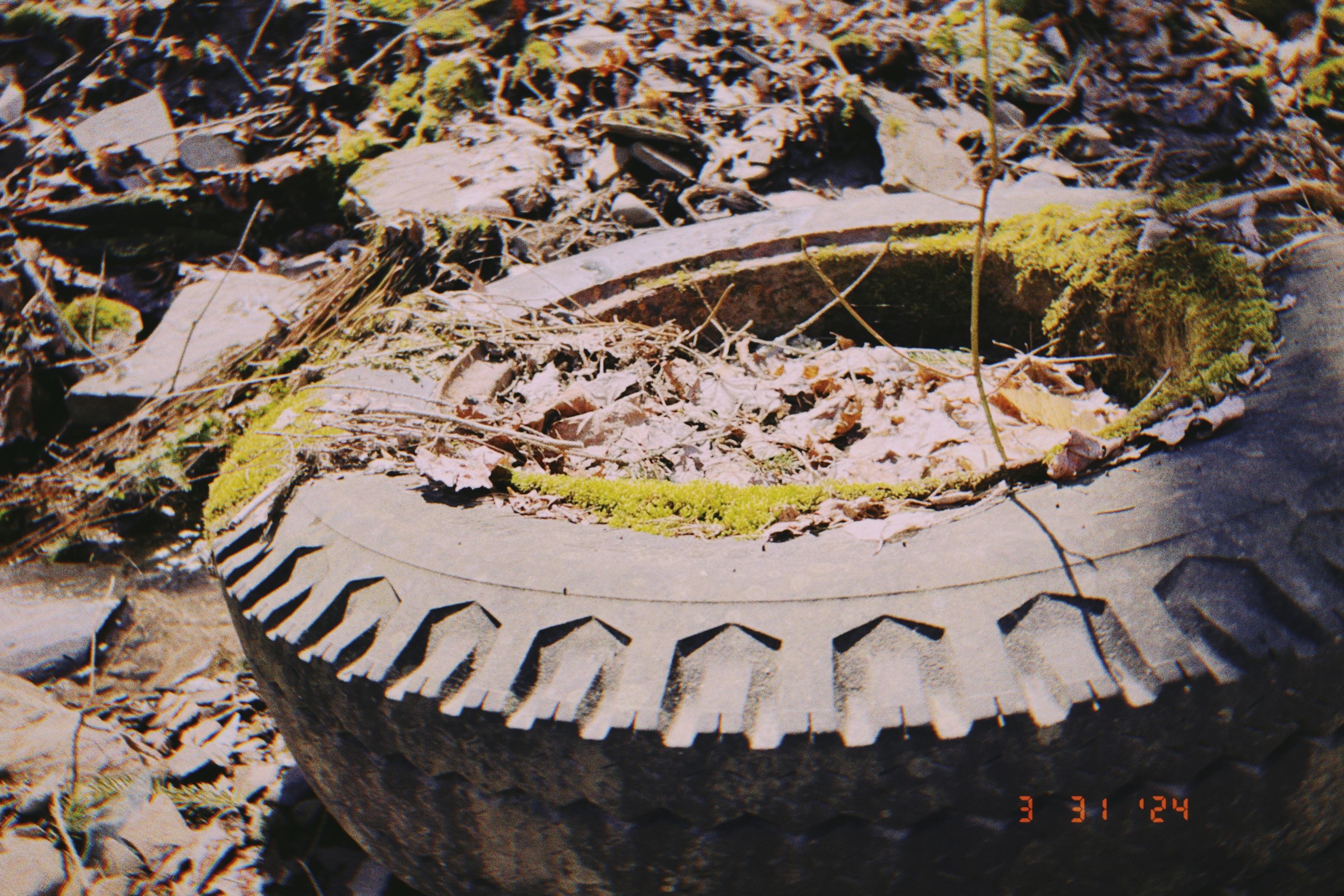 grassy tire