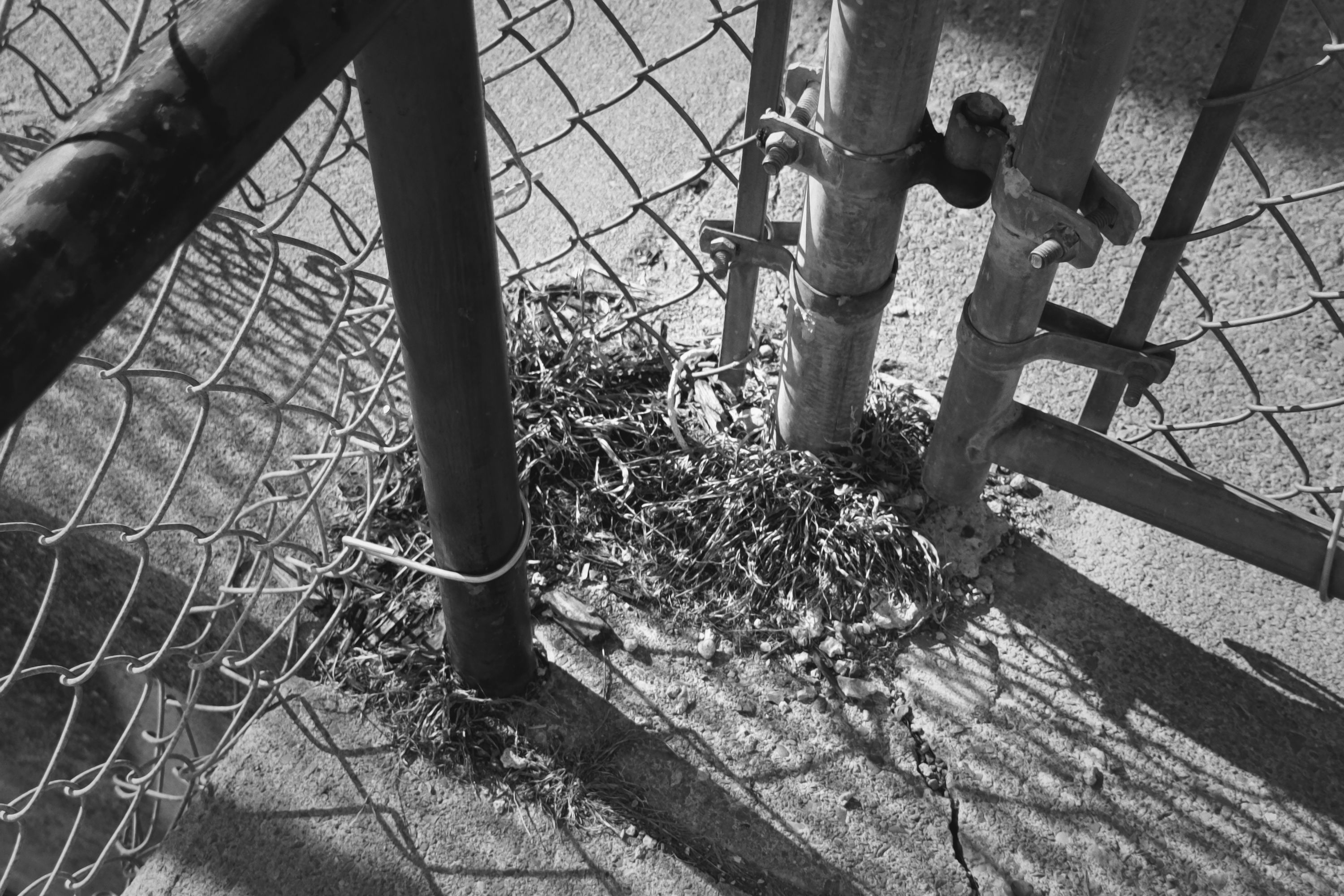 fences