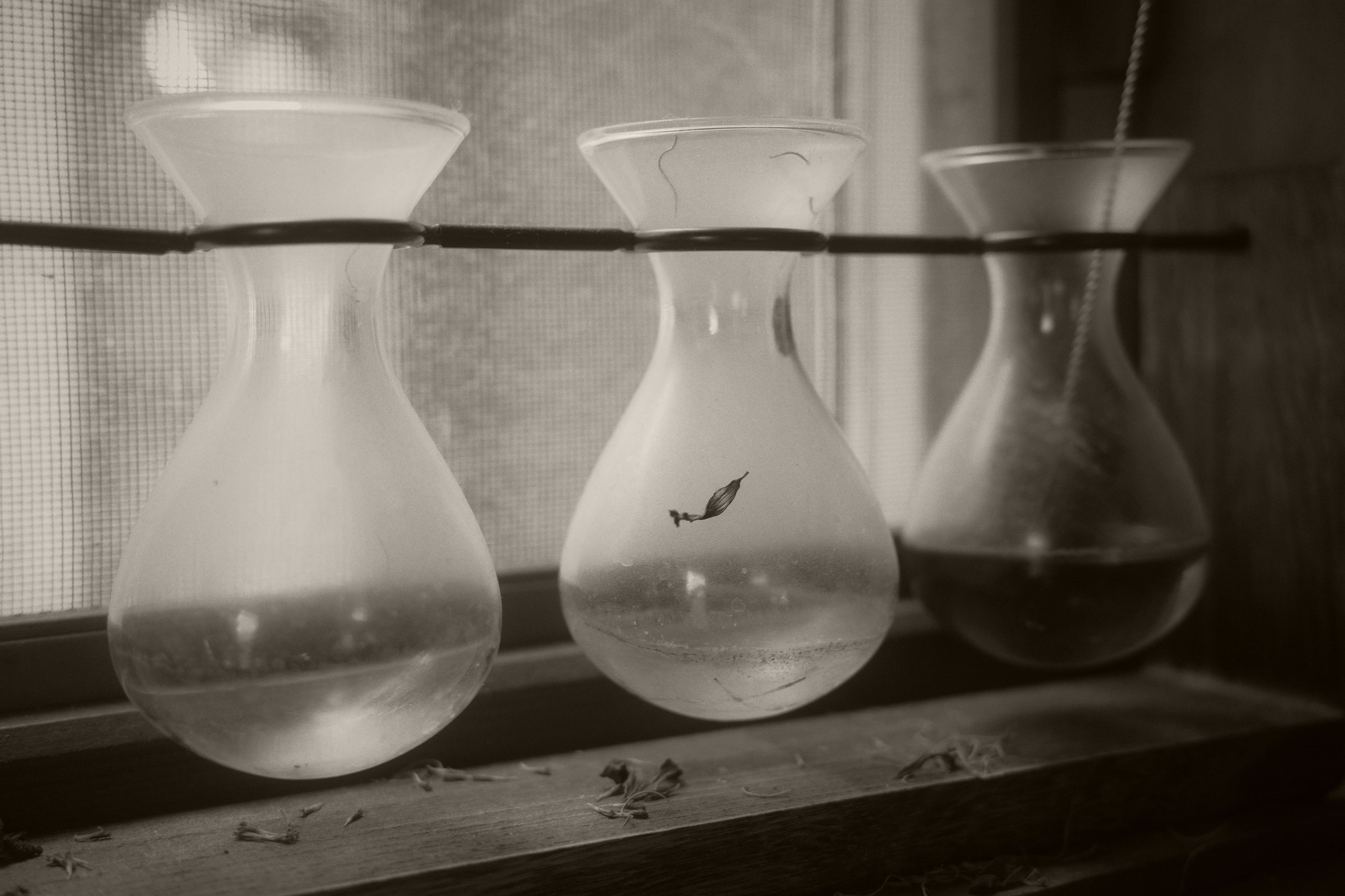 empty vases