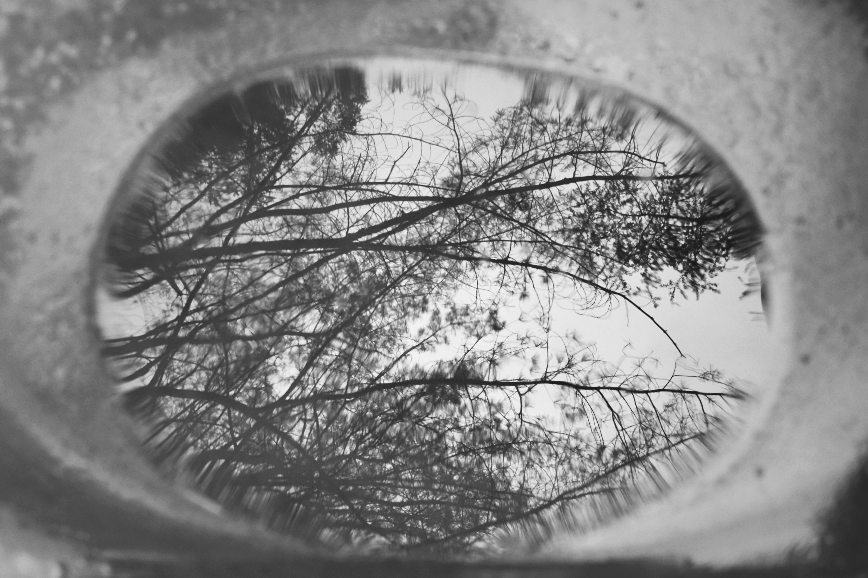 the drowning pool