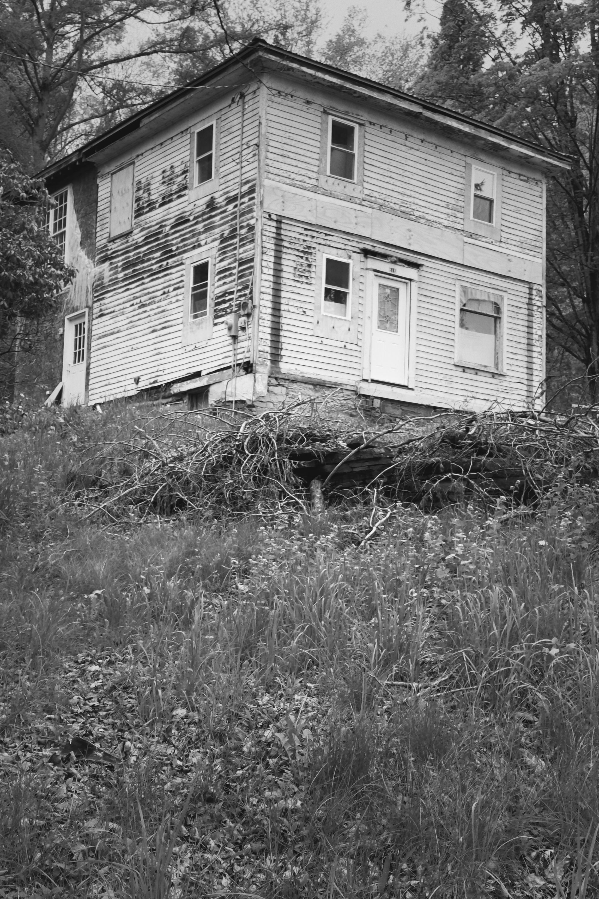 the house next door