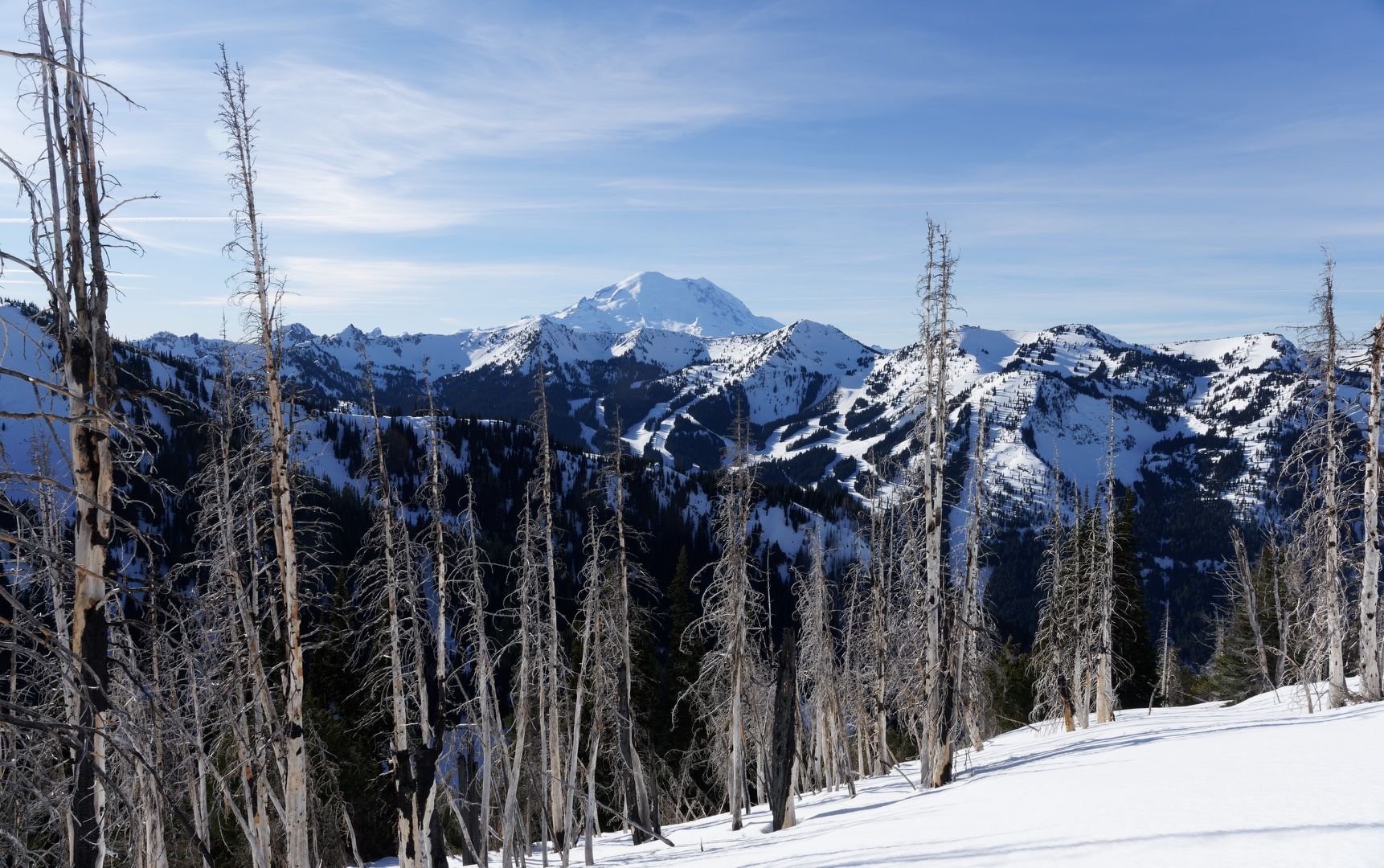 Rainier on the descent