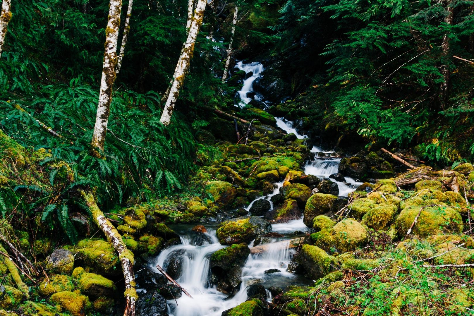 Waterfalls abound