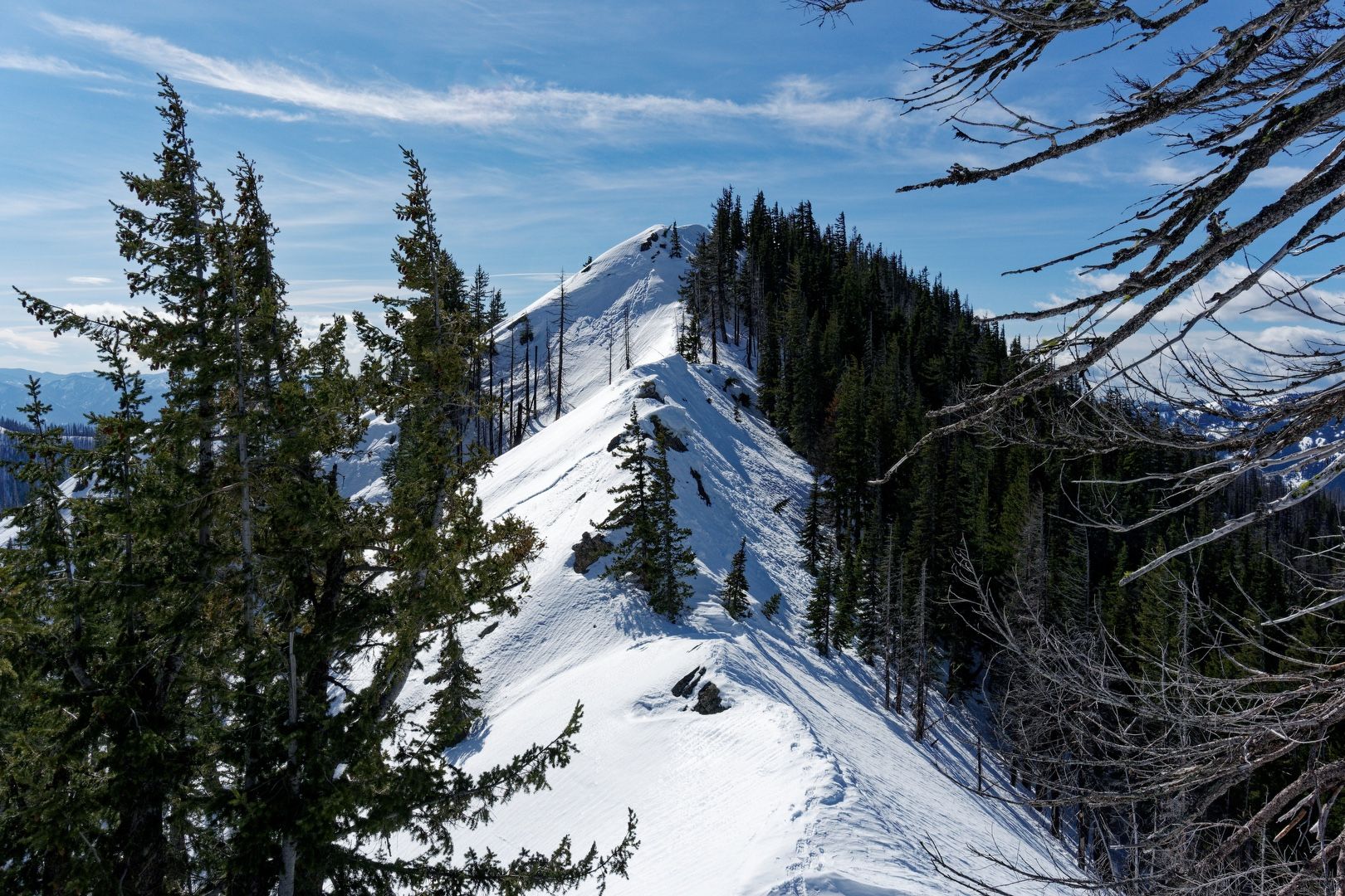 Howson Peak from Sasse Ridge