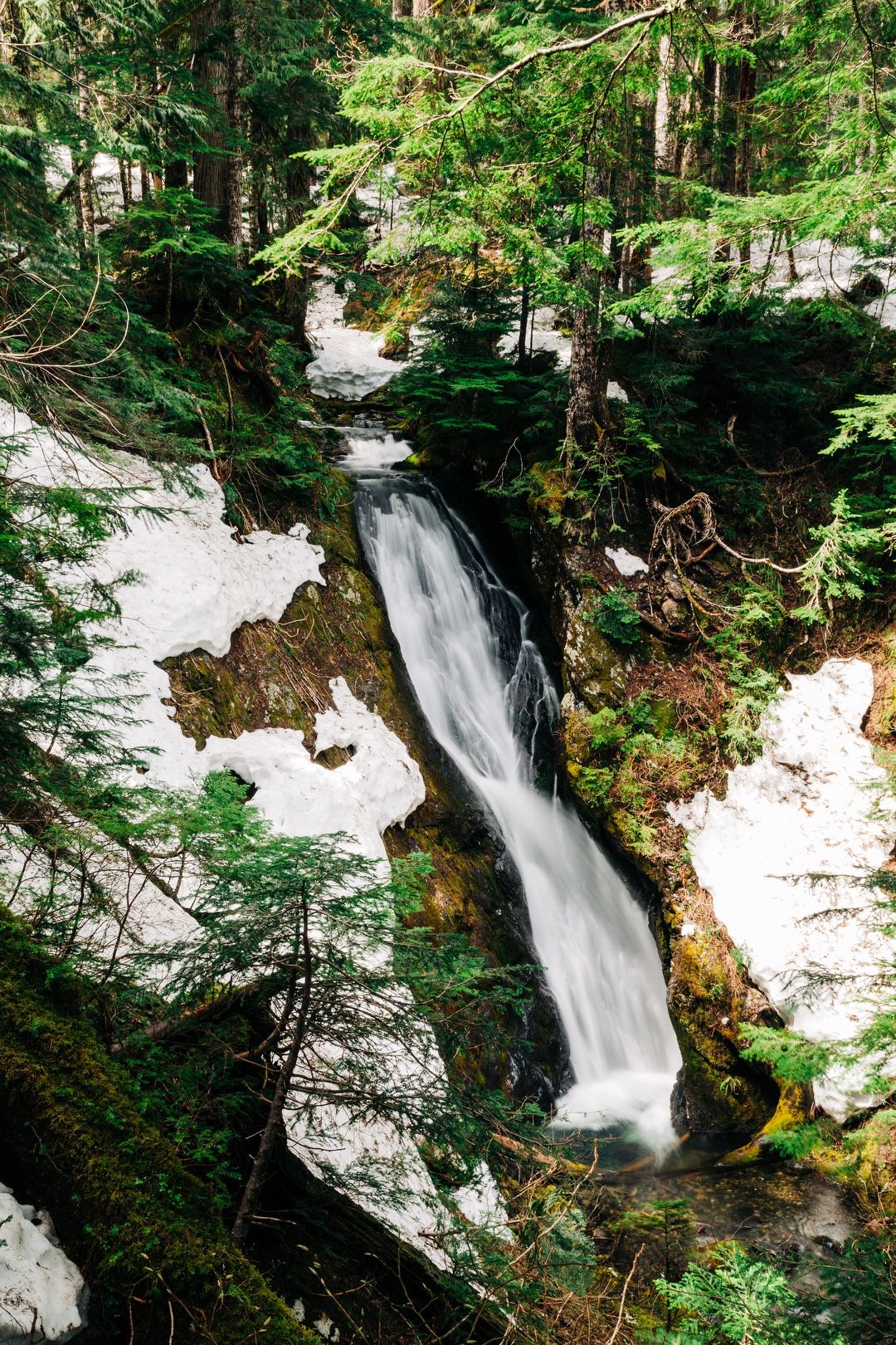 Water falling on the Wynoochee river