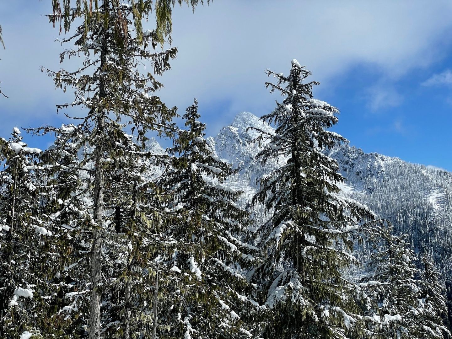 Frosty Mt. Ellinor